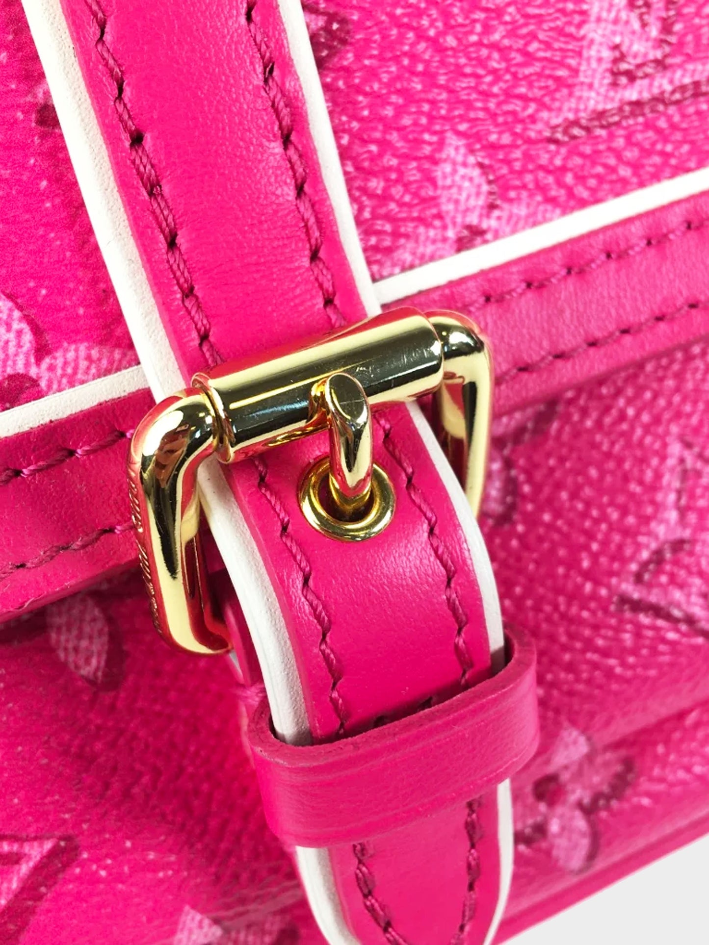 Louis Vuitton 2019 Pink Fall For You Maxi Multi Pochette