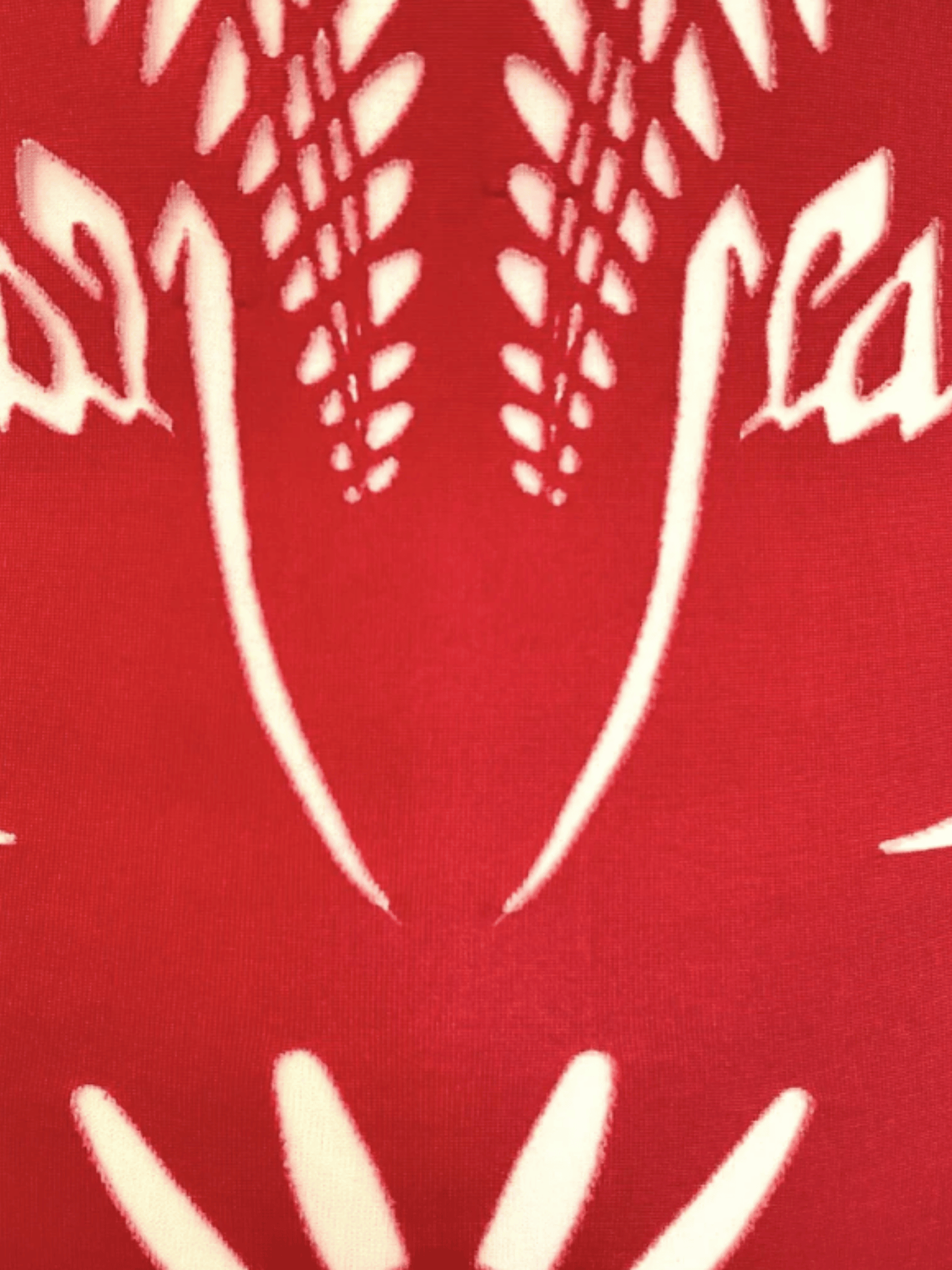 Jean Paul Gaultier SS 2001 Red Art Nouveau Sheer Cutout Tank Dress