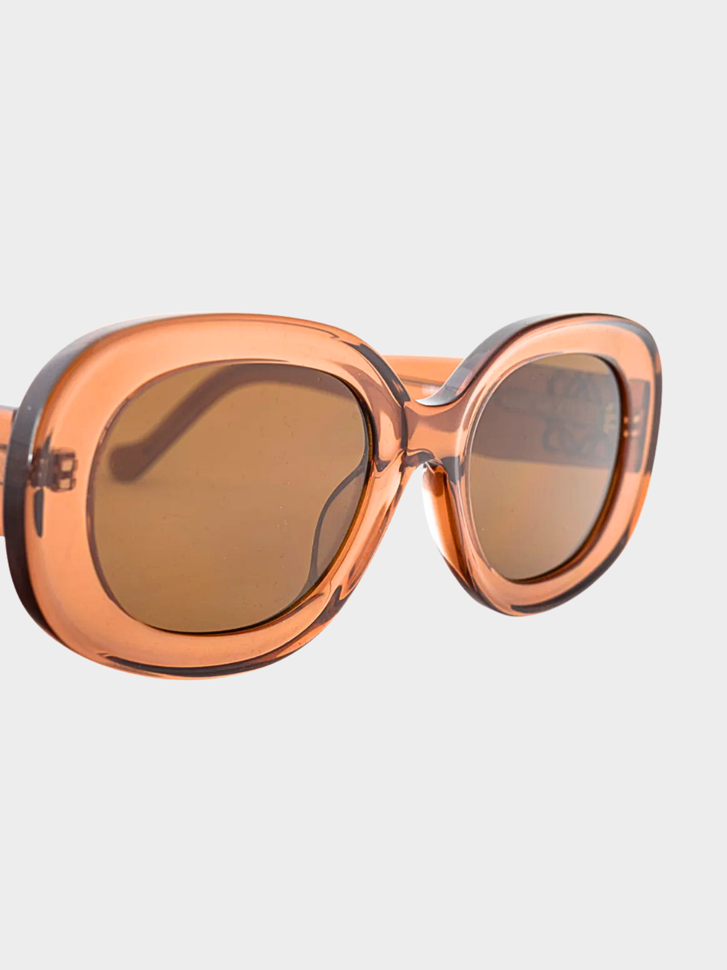 Loewe 2020s Blush Acetate Anagram Sunglasses