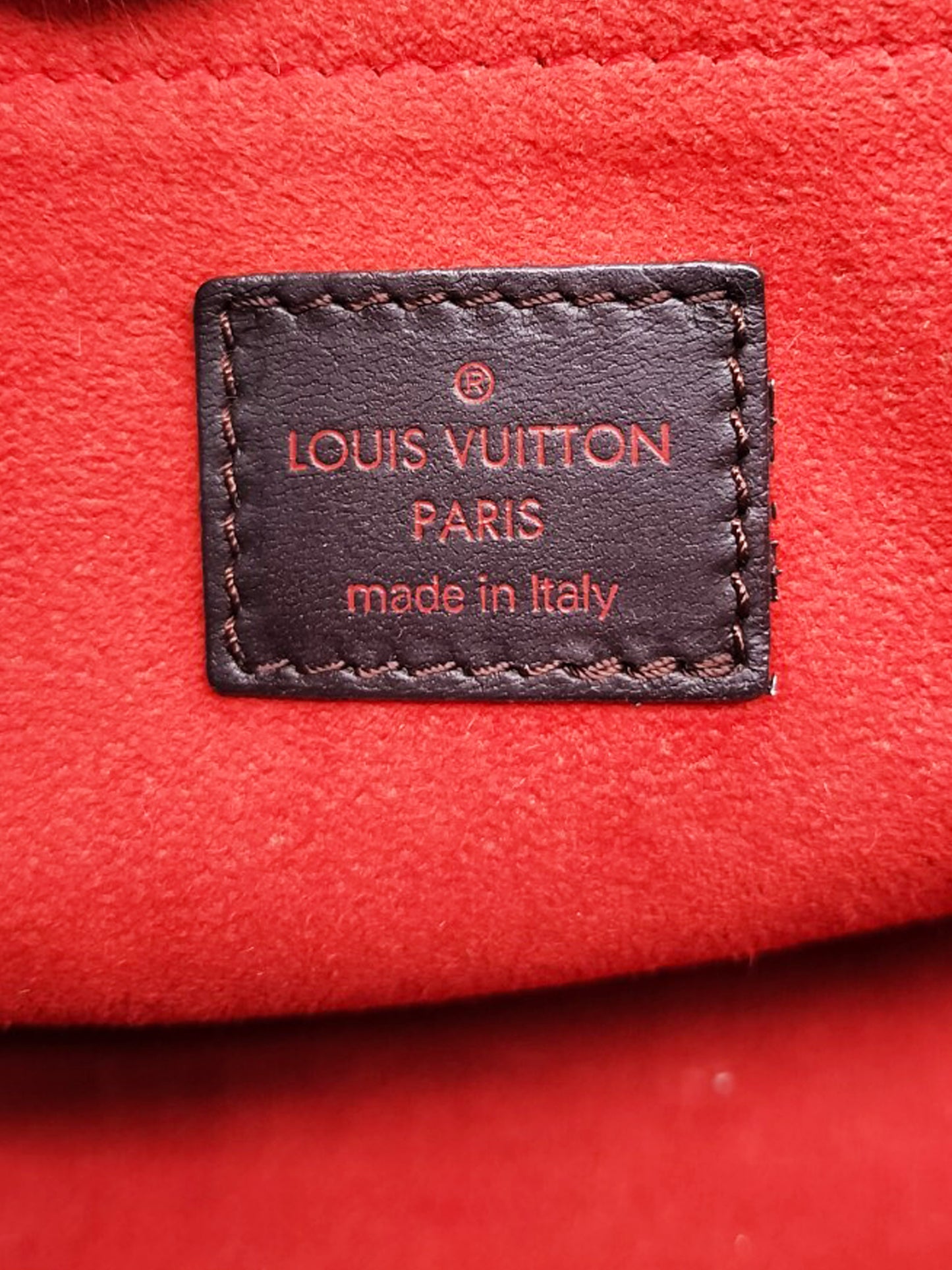 Louis Vuitton 2009 Damier Sauvage Lionne Pony Hair Handbag