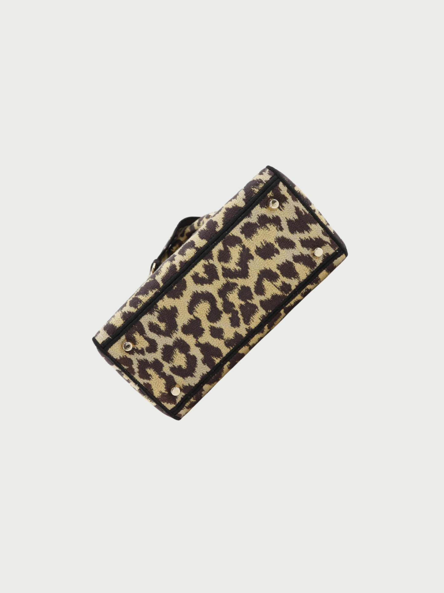 Christian Dior 2020s Brown Leopard Canvas Lady D-Light Medium Handbag