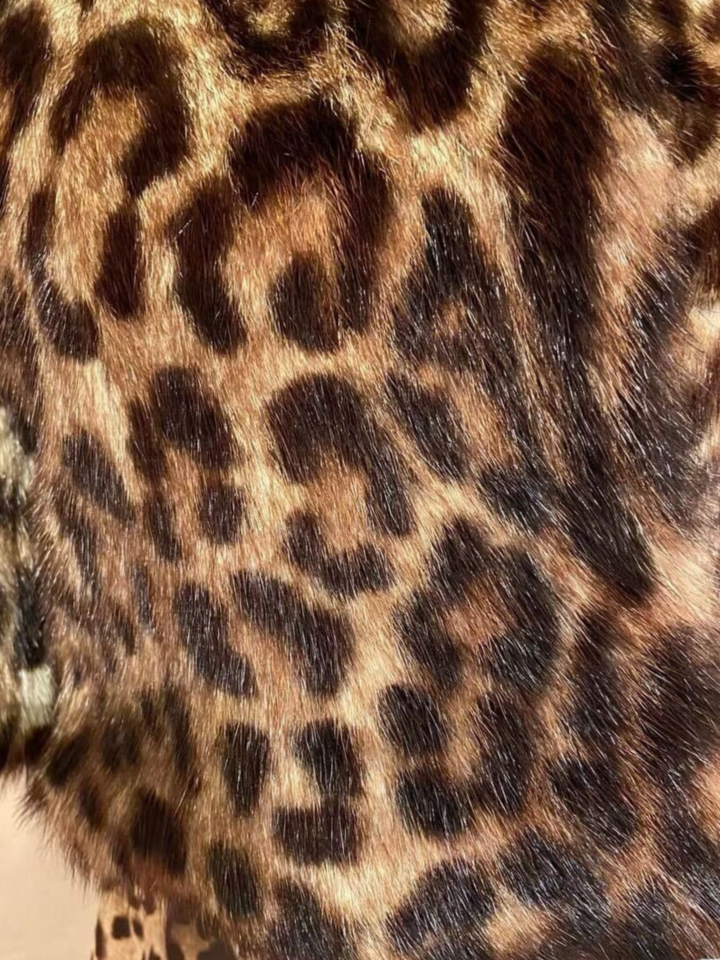 Dolce & Gabbana 2000s Grey Marmotta Mongola Fur Jacket