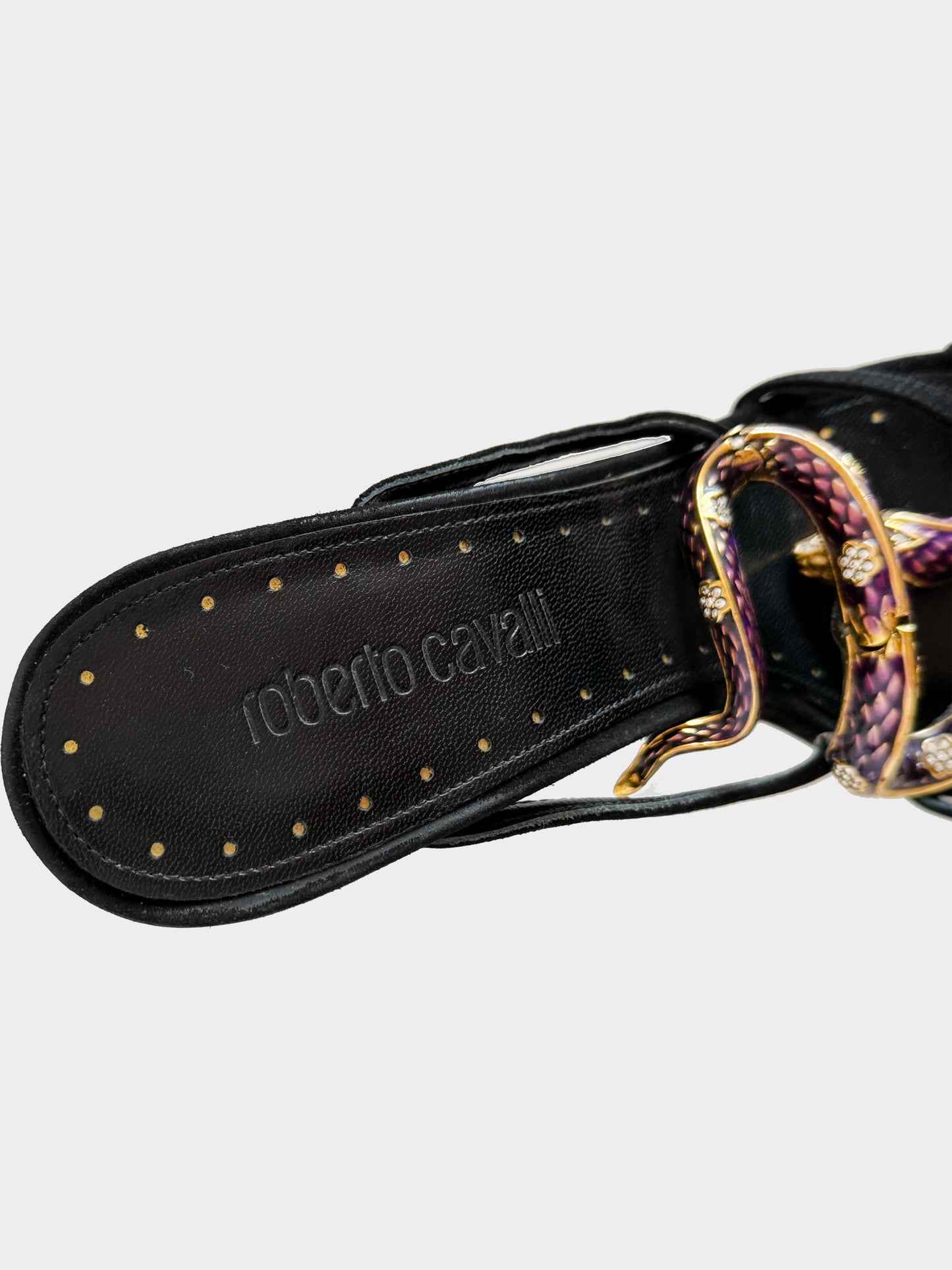 Roberto Cavalli Late 2010s Black and Purple Snake Heels