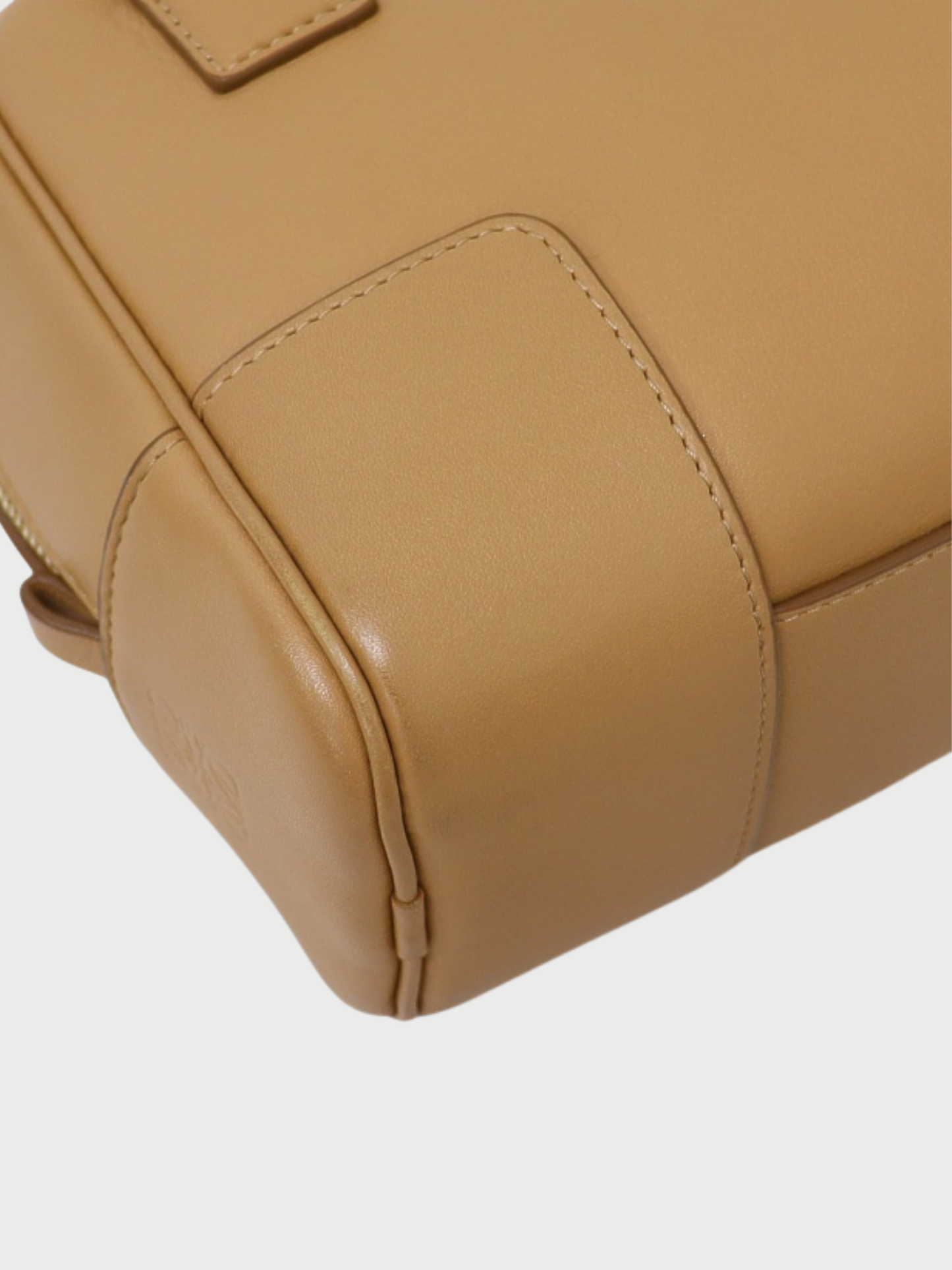 Loewe AW 2021 Beige Leather Amazona 16 Bag