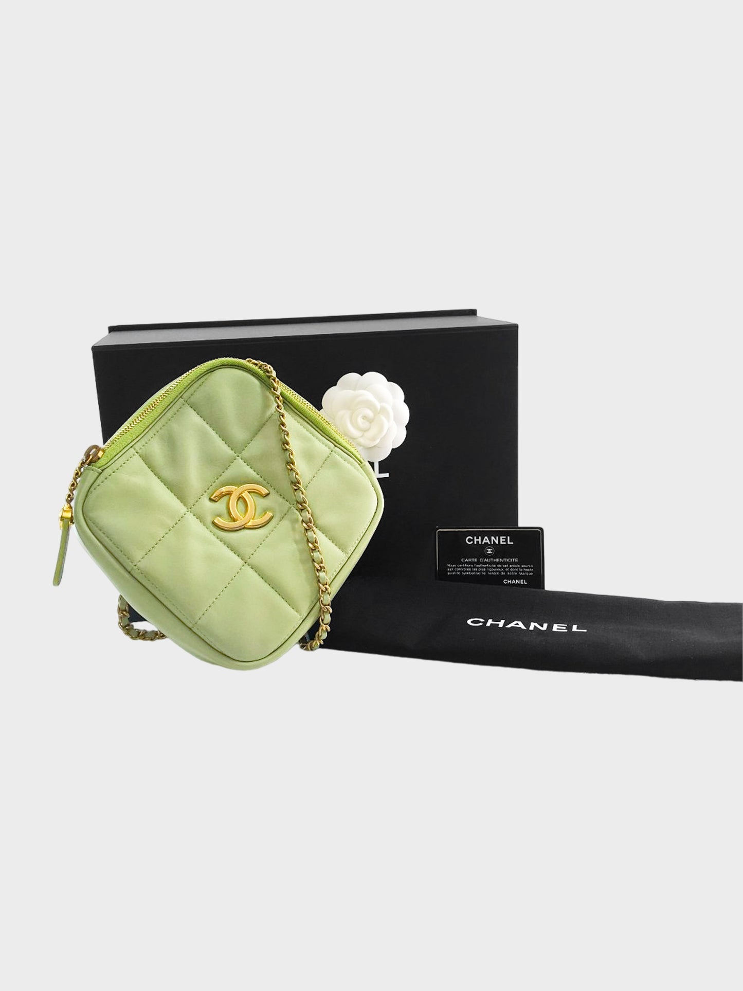 Chanel Late 2020-2021 Pastel Green Lambskin Quilted Seasonal Diamond Crossbody Bag