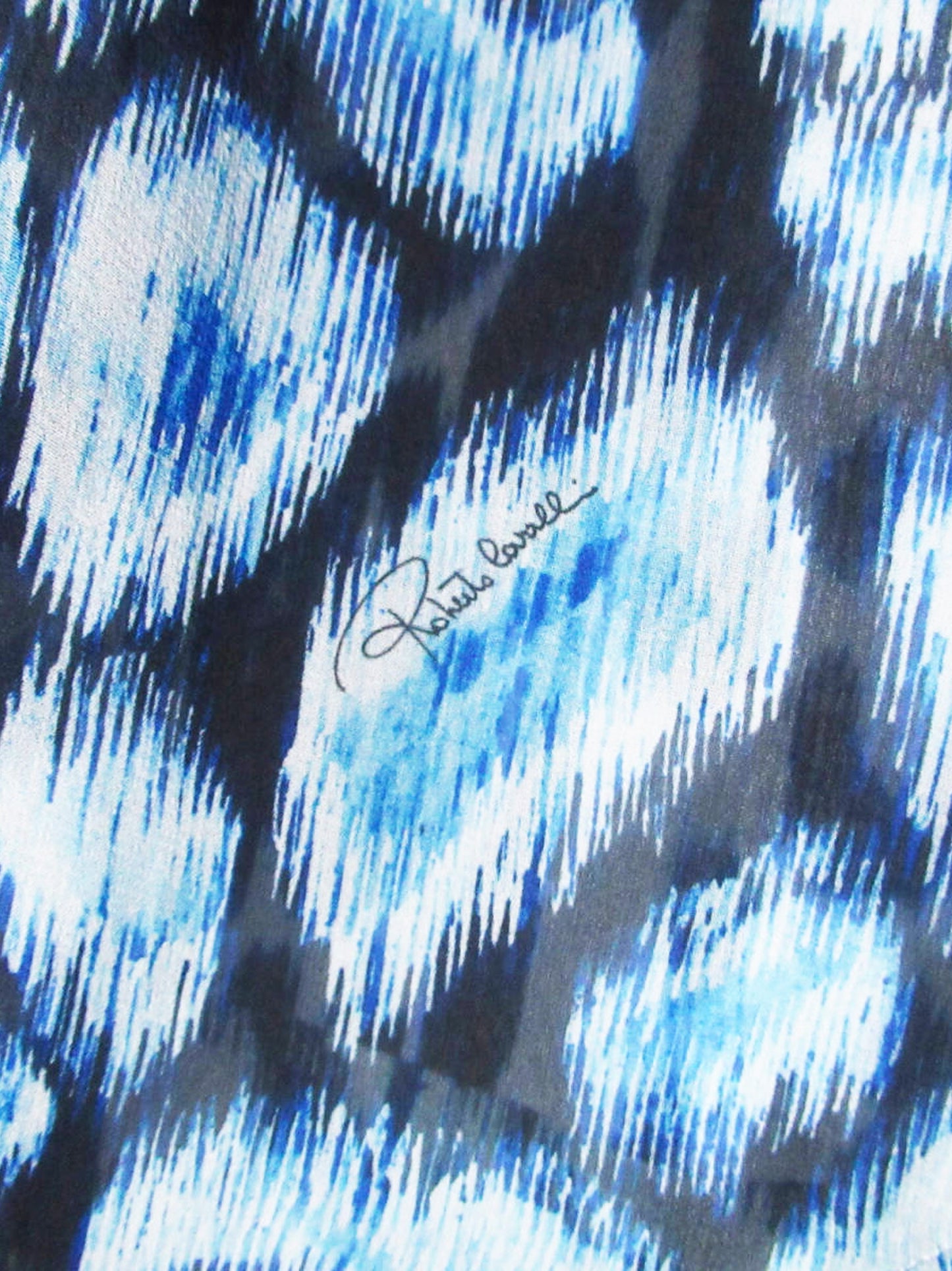 Roberto Cavalli 2010s Blue and White Animal Print Silk Poncho