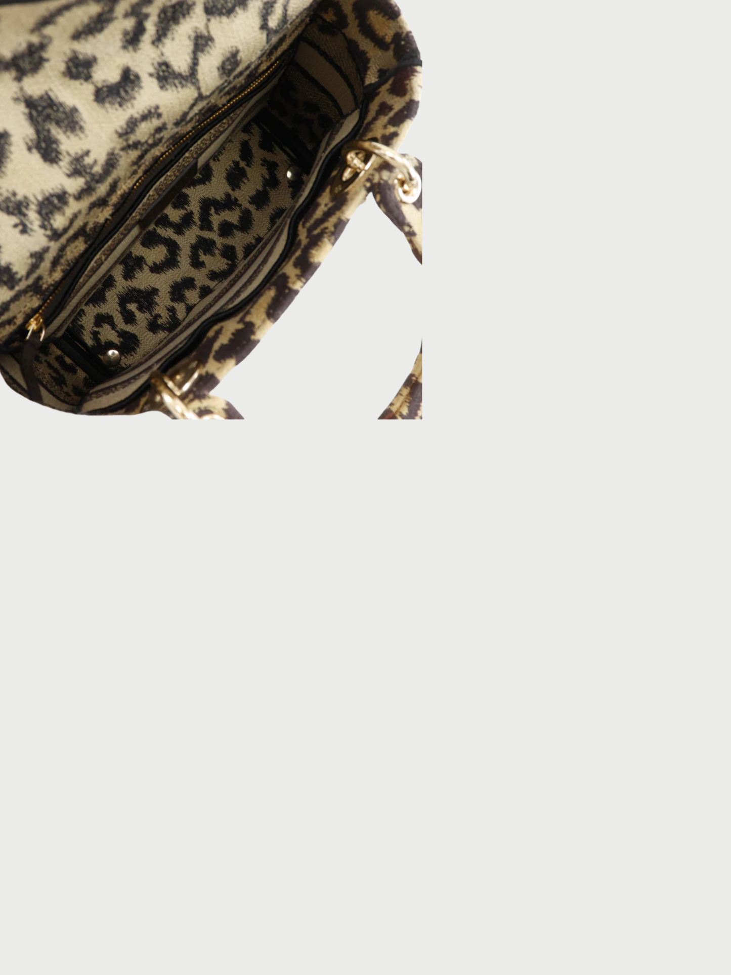 Christian Dior 2020s Brown Leopard Canvas Lady D-Light Medium Handbag