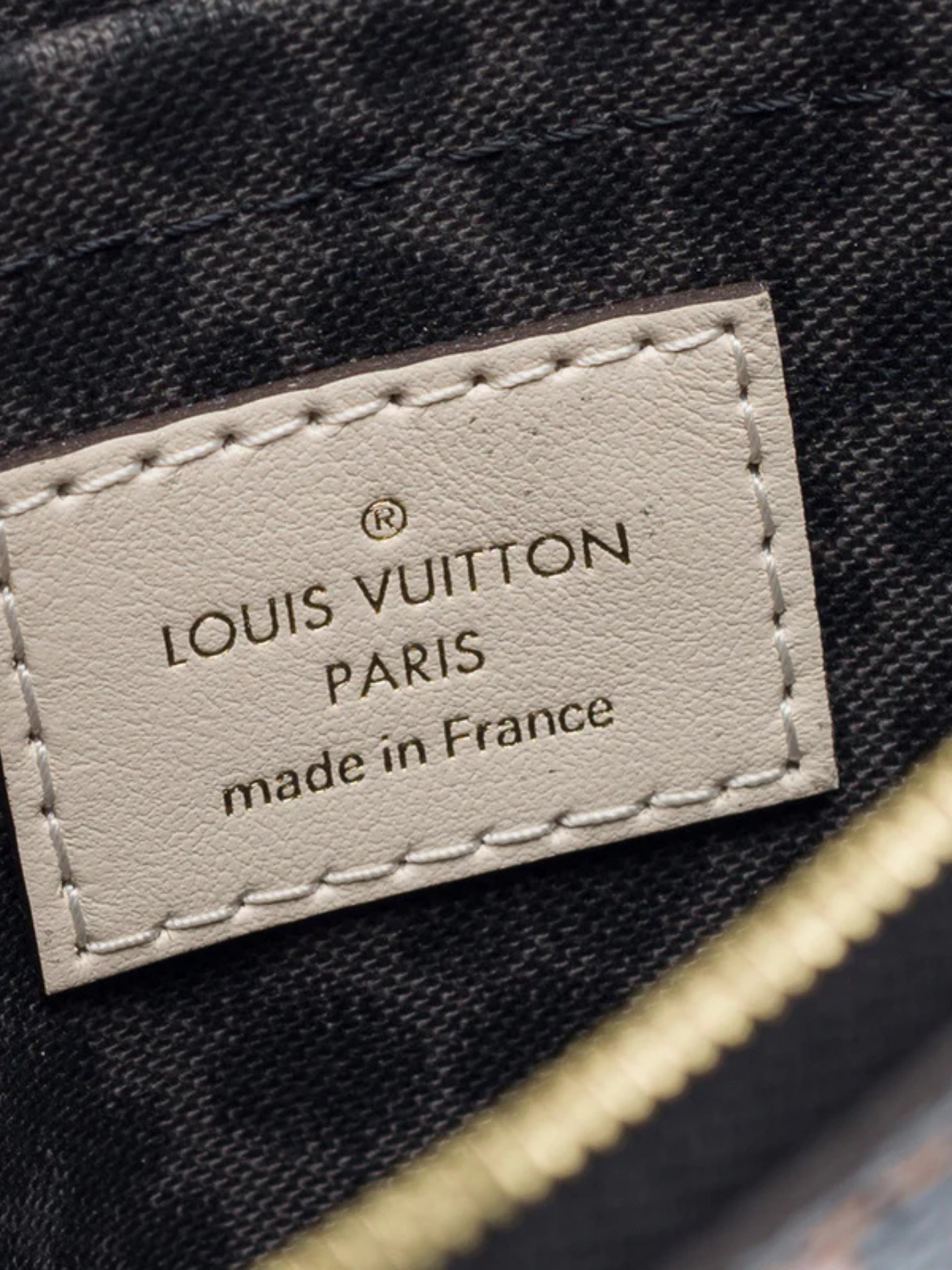 Louis Vuitton 2021 Brown Canvas Wild At Heart Pochette