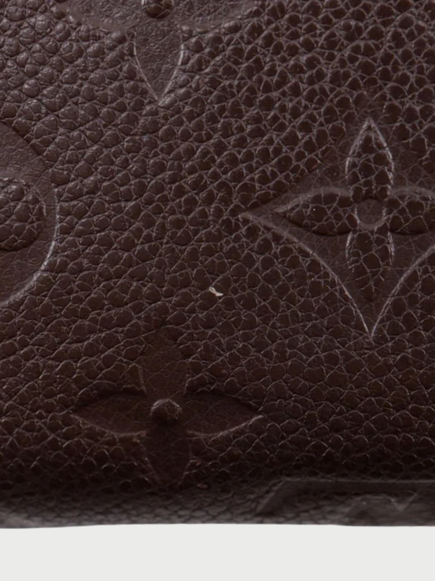 Louis Vuitton 2013 Ombre Monogram Empreinte Leather Secret Long Wallet