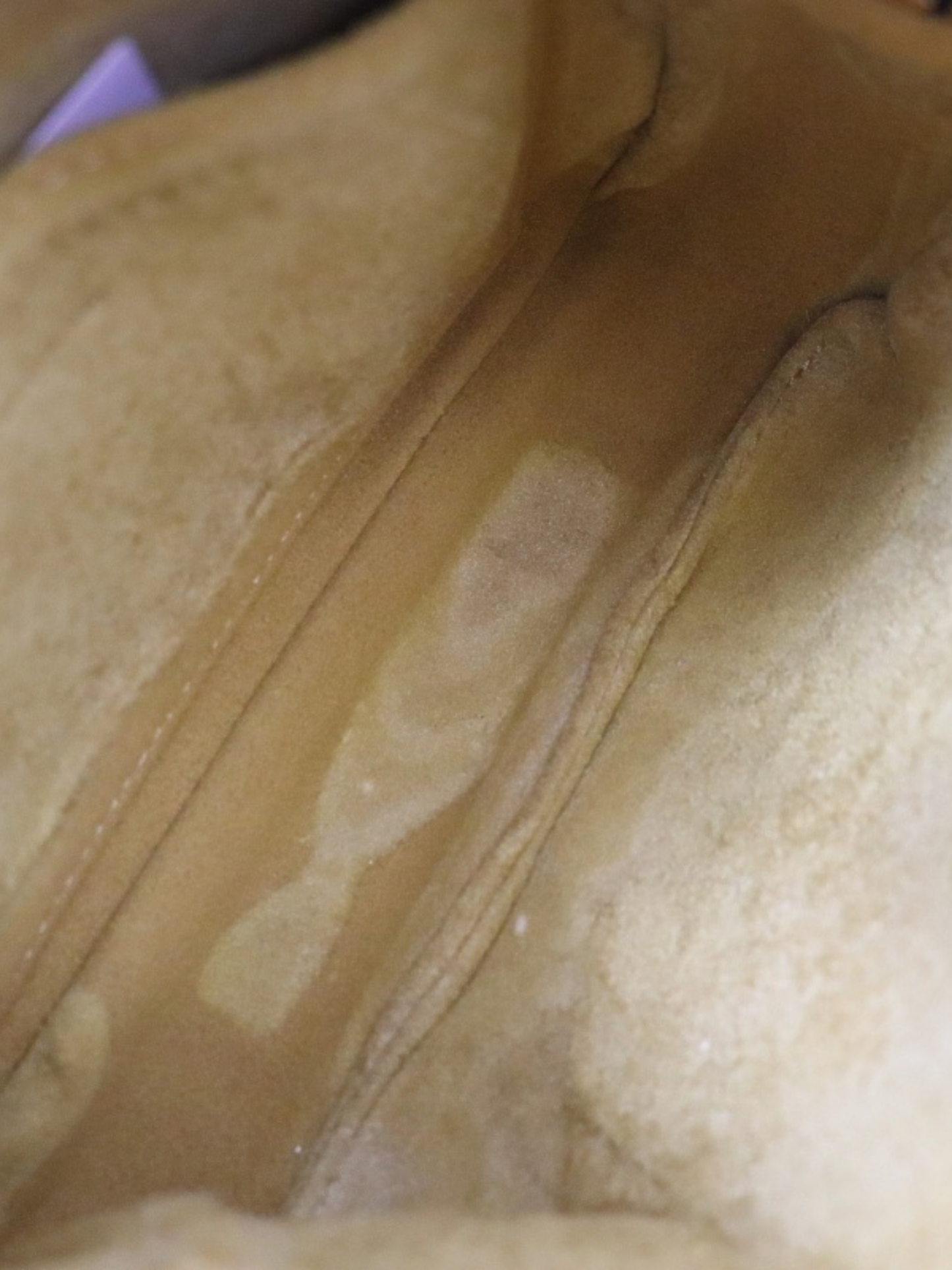 Stella McCartney 2020s Black Leather Logo 2Way Shoulder Bag