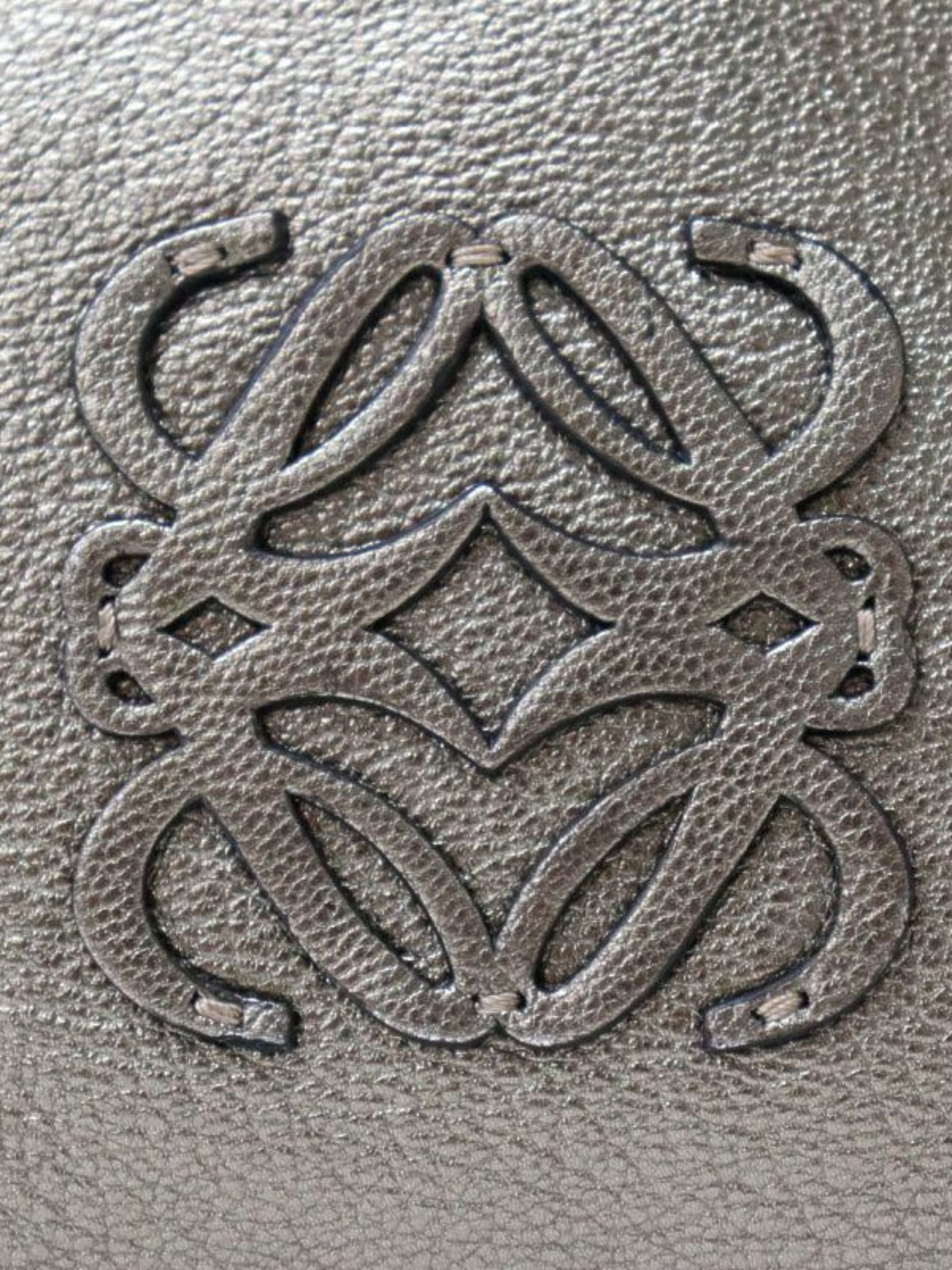 Loewe 2000s Silver Amazona 28 Leather Bag