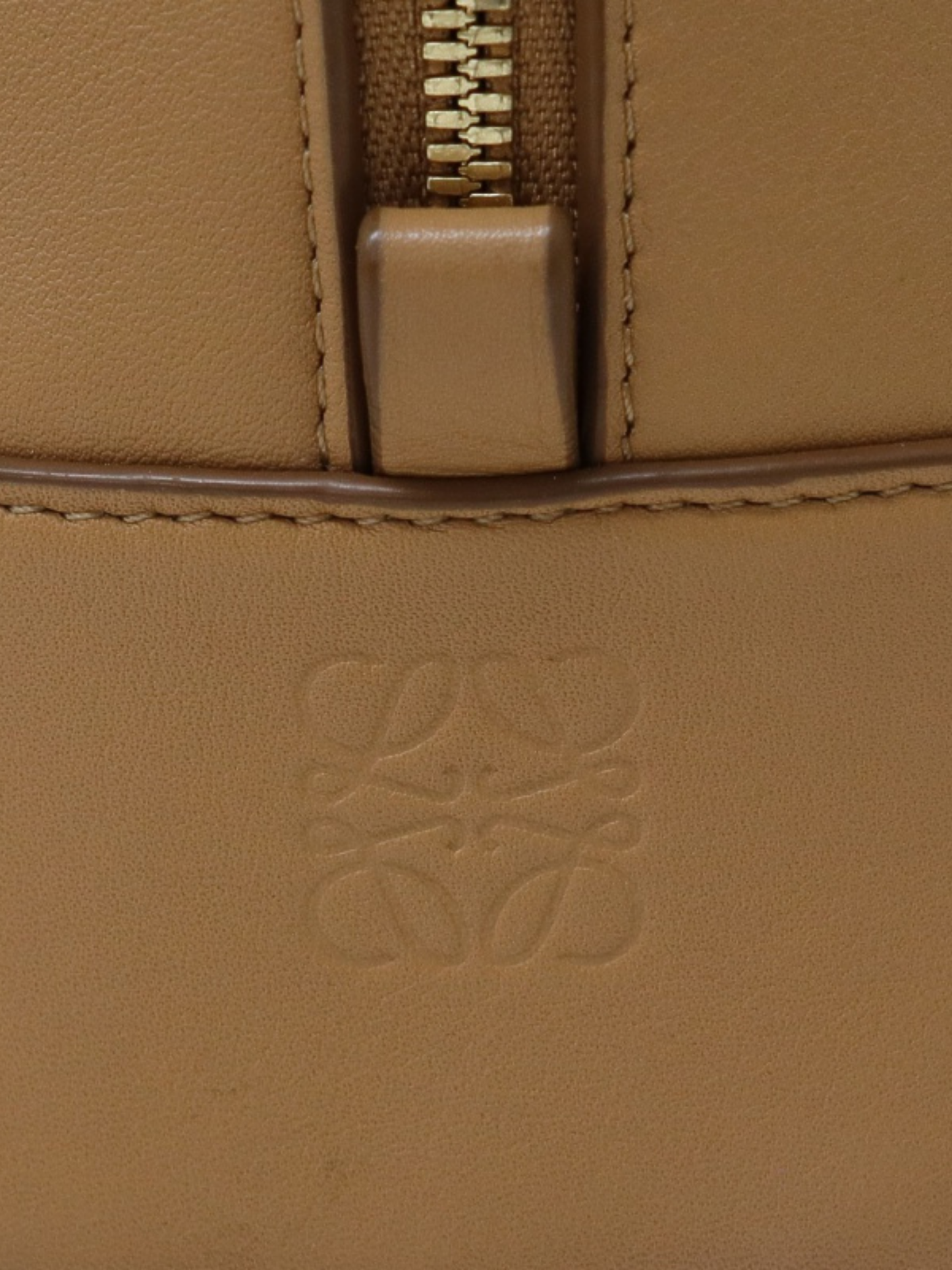 Loewe AW 2021 Beige Leather Amazona 16 Bag