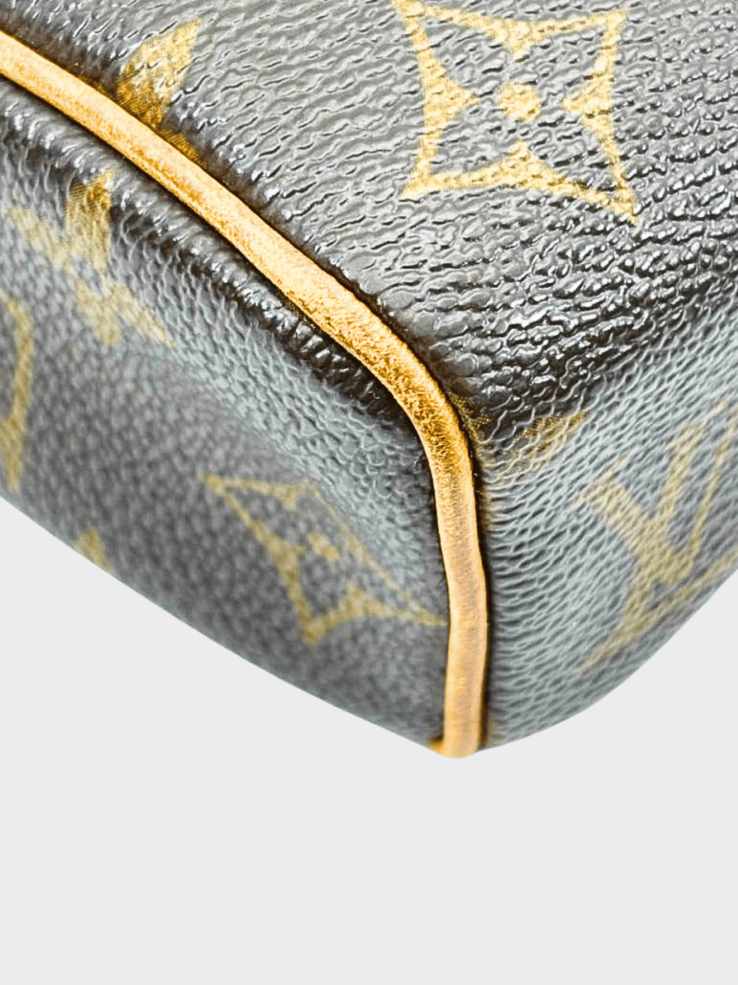 Louis Vuitton 2000s Brown Monogram PVC Recital Bag