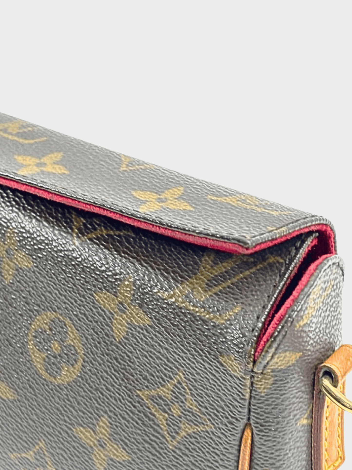 Louis Vuitton 2000s Brown Monogram PVC Recital Bag