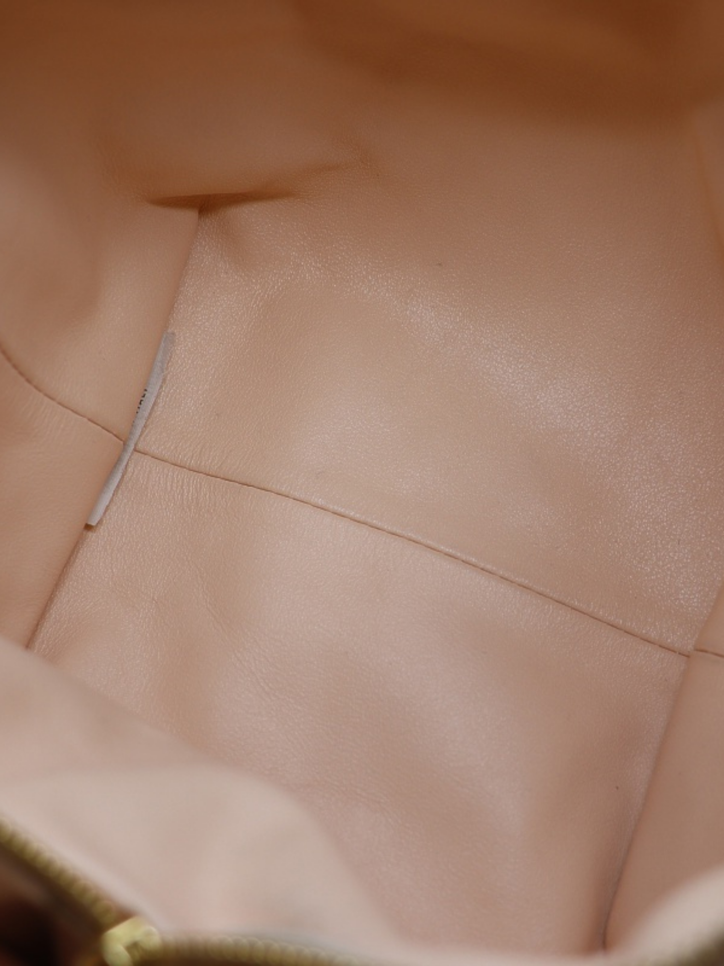 Bottega Veneta 2021 Beige Pink Leather Double Knot Bag