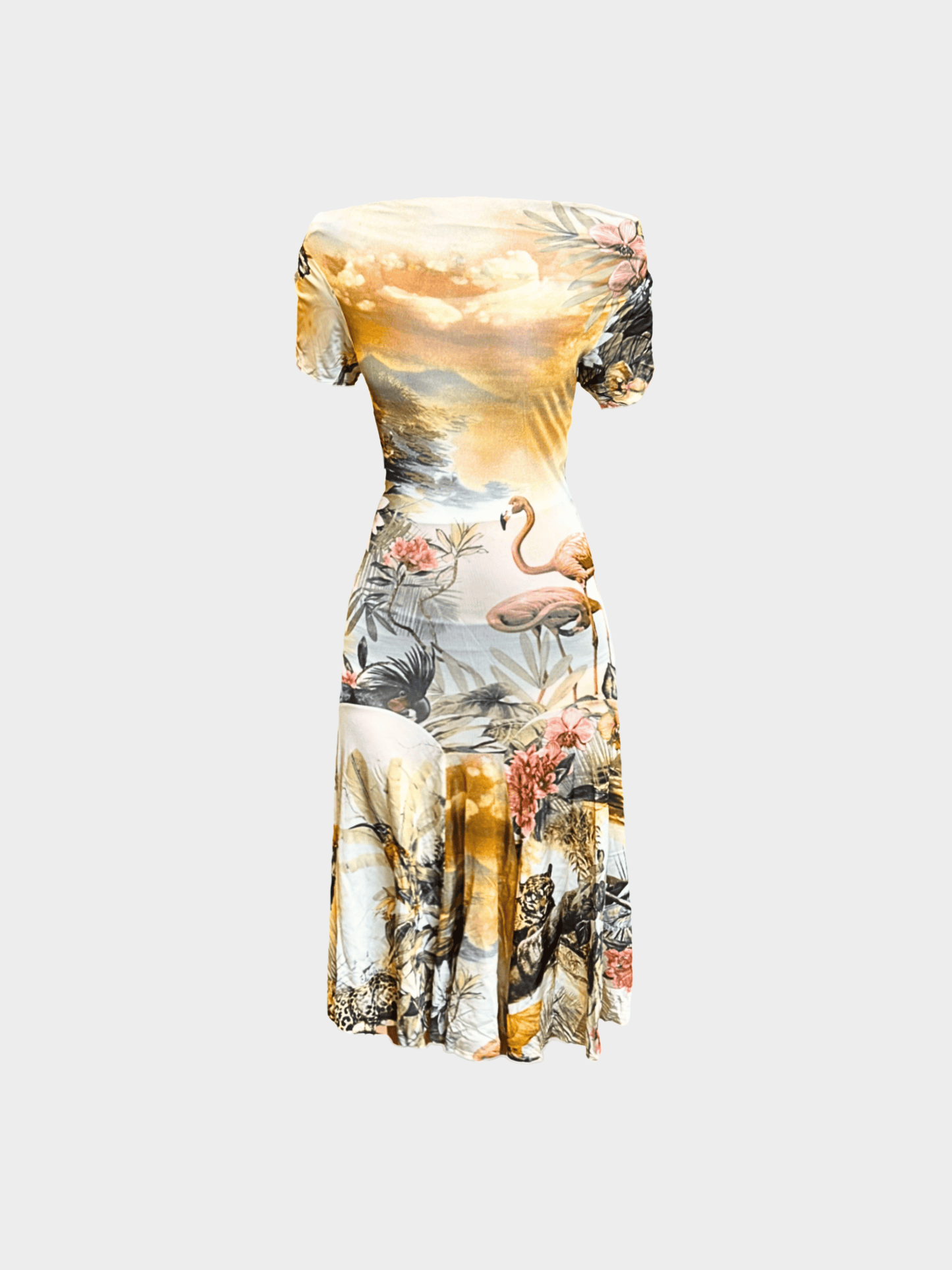 Roberto Cavalli 2000s Cavalli Class Graphic Printed Midi Dress