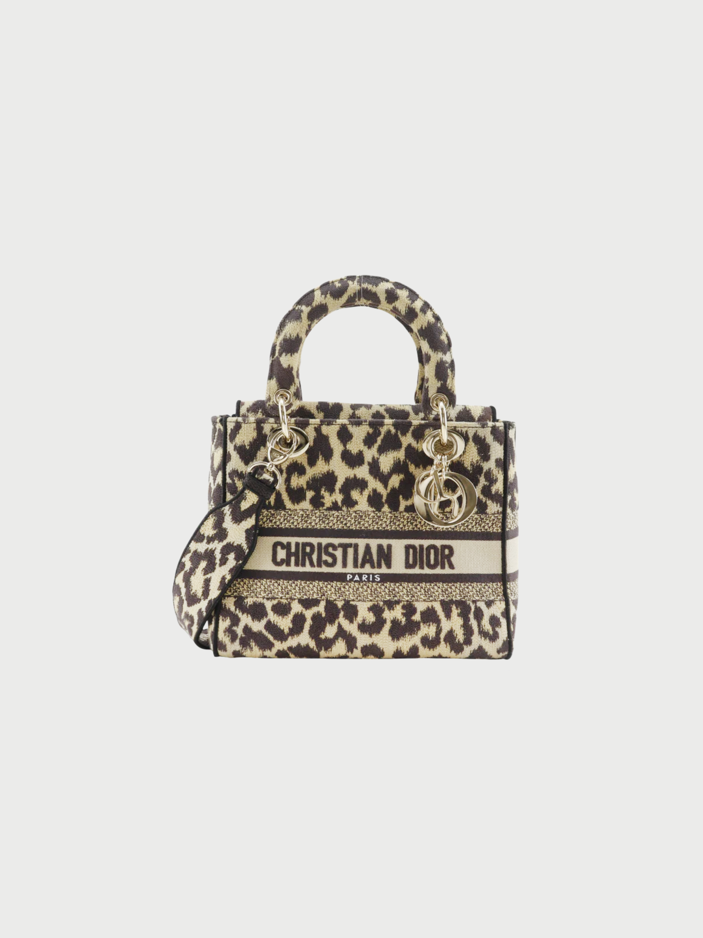 Christian Dior 2020s Brown Leopard Canvas Lady D-Light Medium Handbag