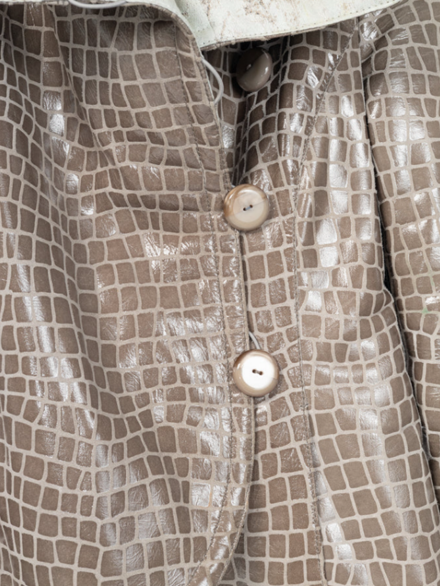 Giorgio Armani 2000s Taupe Snakeskin-Pattern Leather Buttoned Jacket