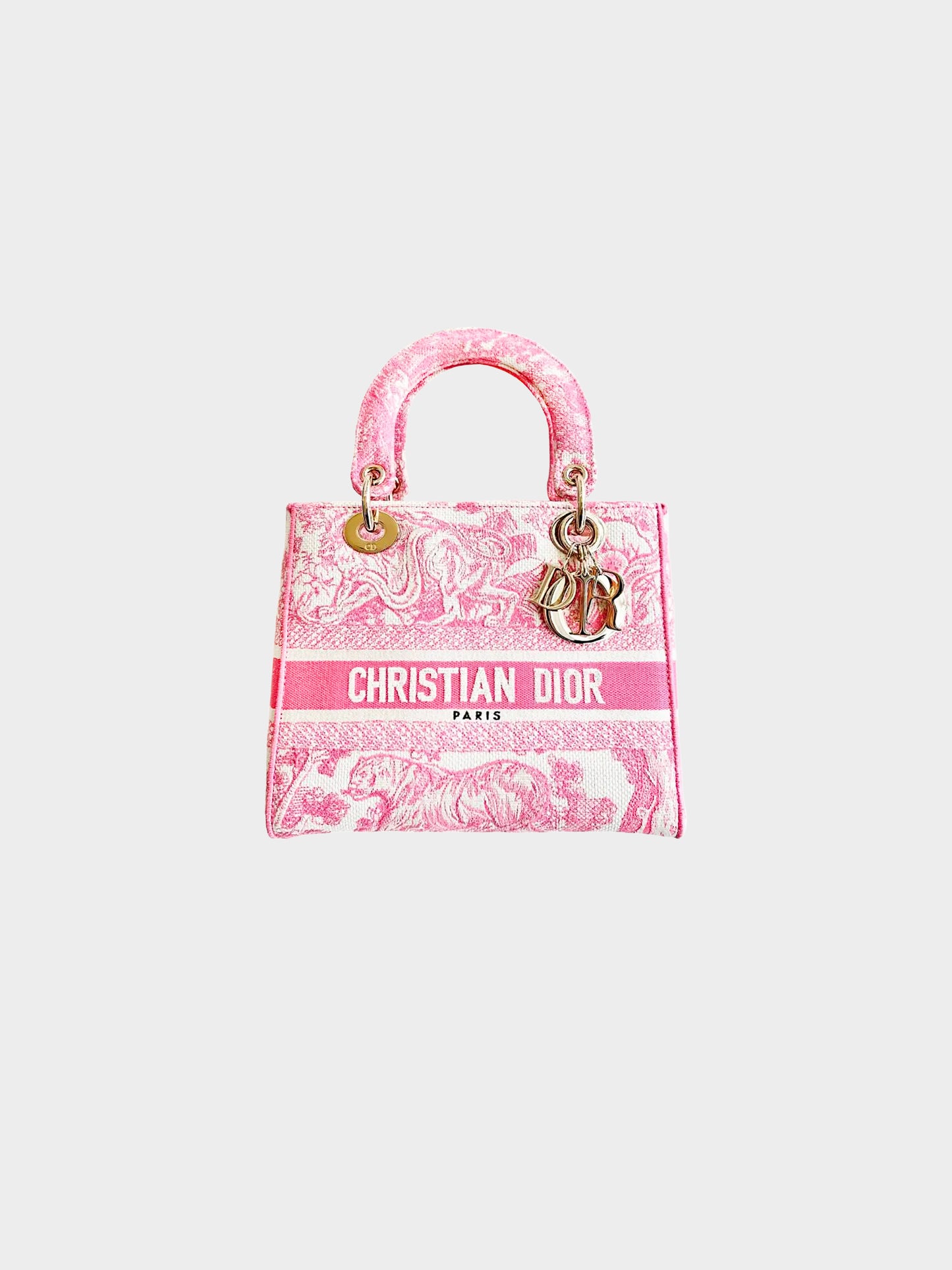 Christian Dior 2020 Pink Green Toile De Jouy Canvas Medium Lady D-Lite Bag