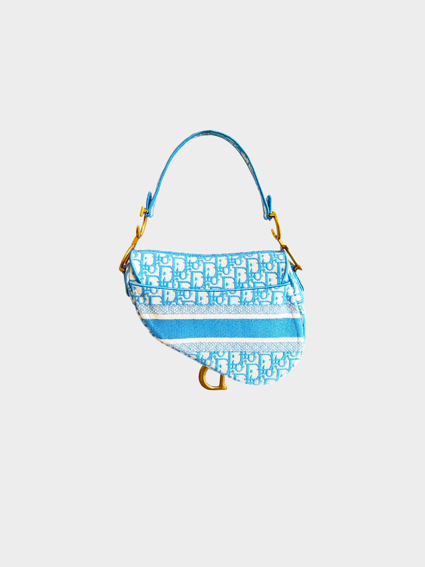 Christian Dior 2021 Cornflower Blue Oblique Embroidery Saddle Bag