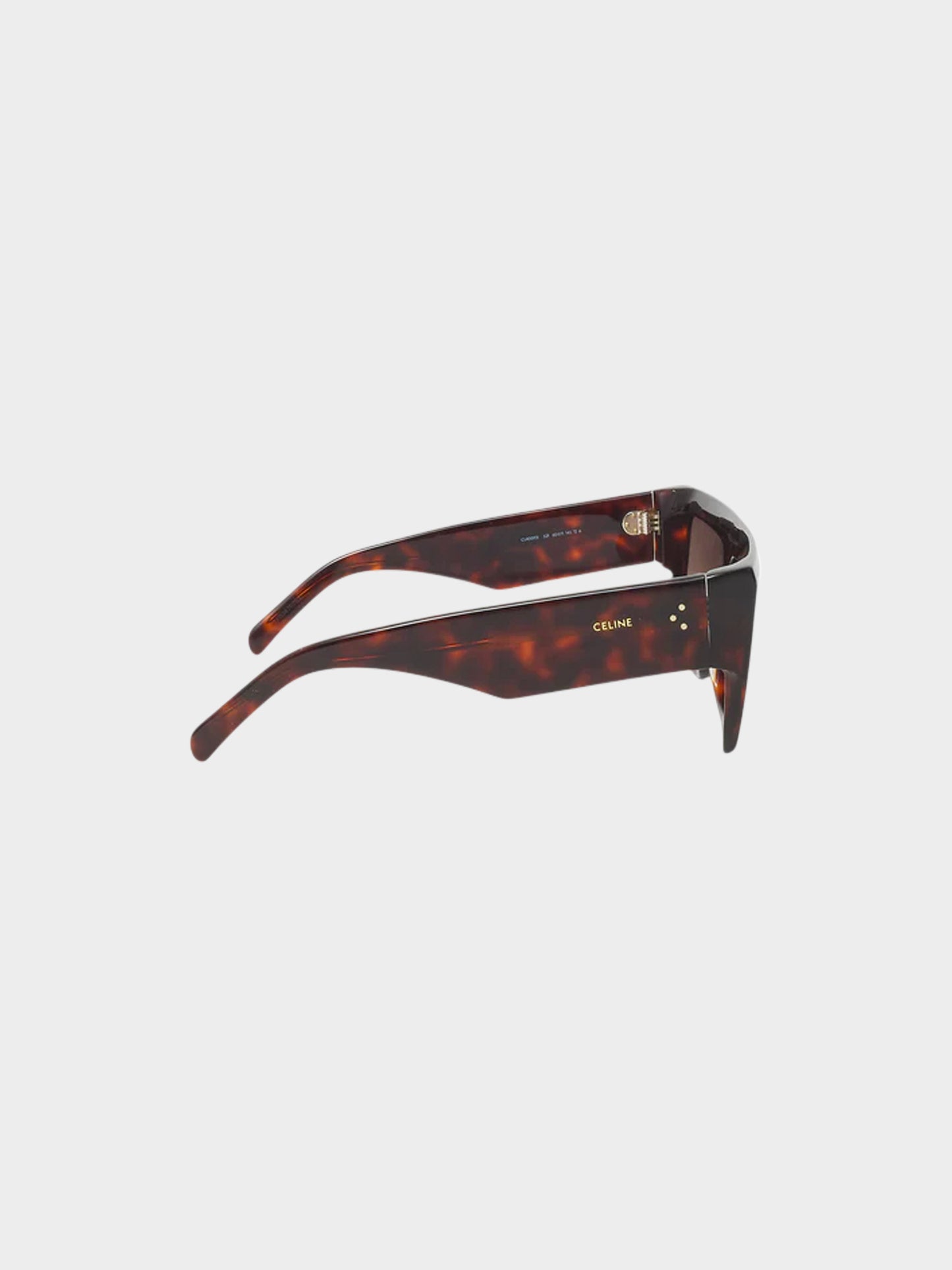Celine 2020s Tortoiseshell Oversized Square Sunglasses