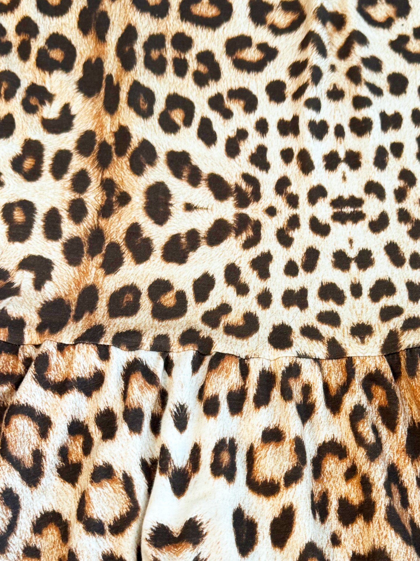 Roberto Cavalli 2000s Leopard Print Dress