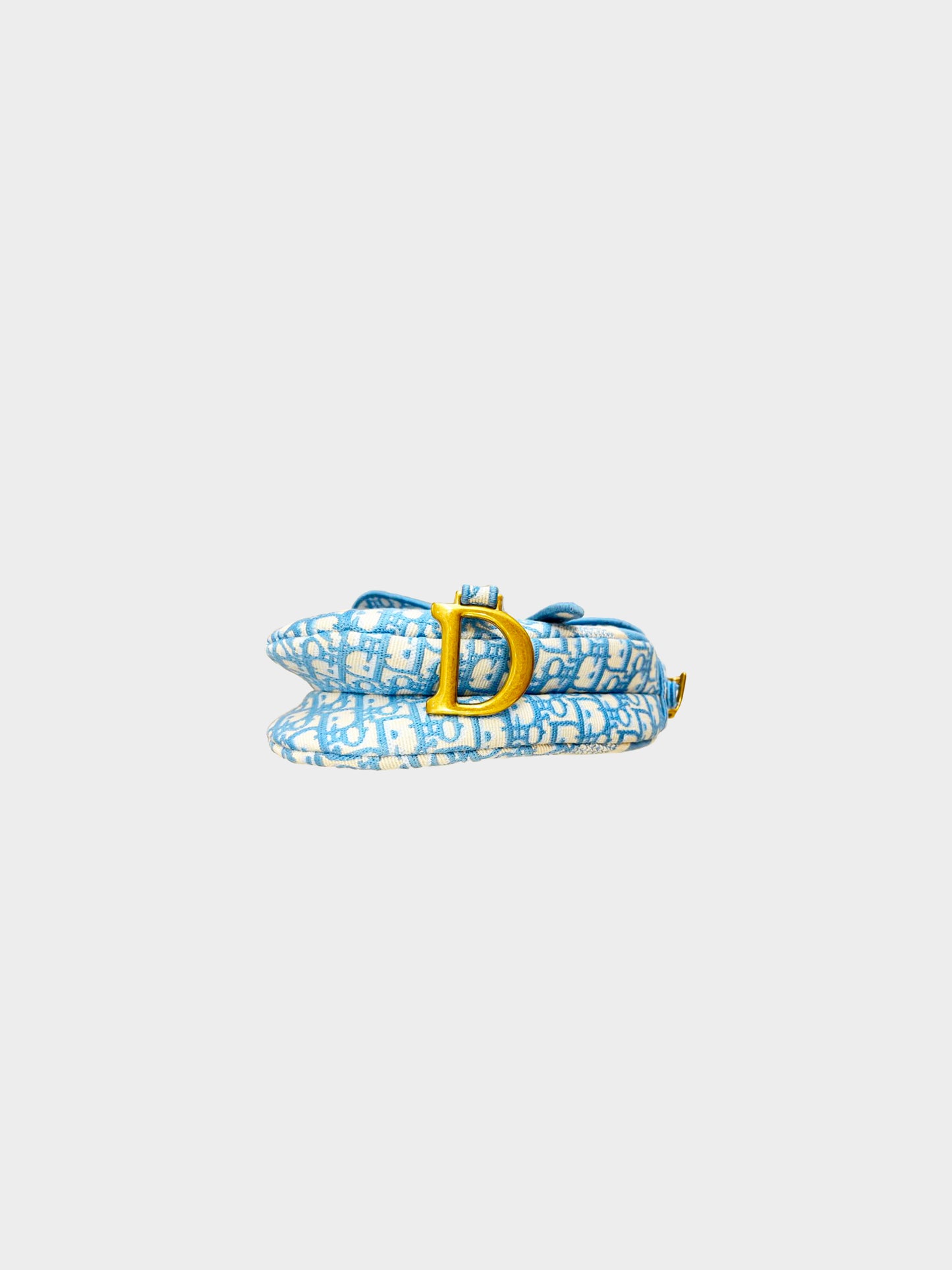 Christian Dior 2021 Cornflower Blue Oblique Embroidery Saddle Bag