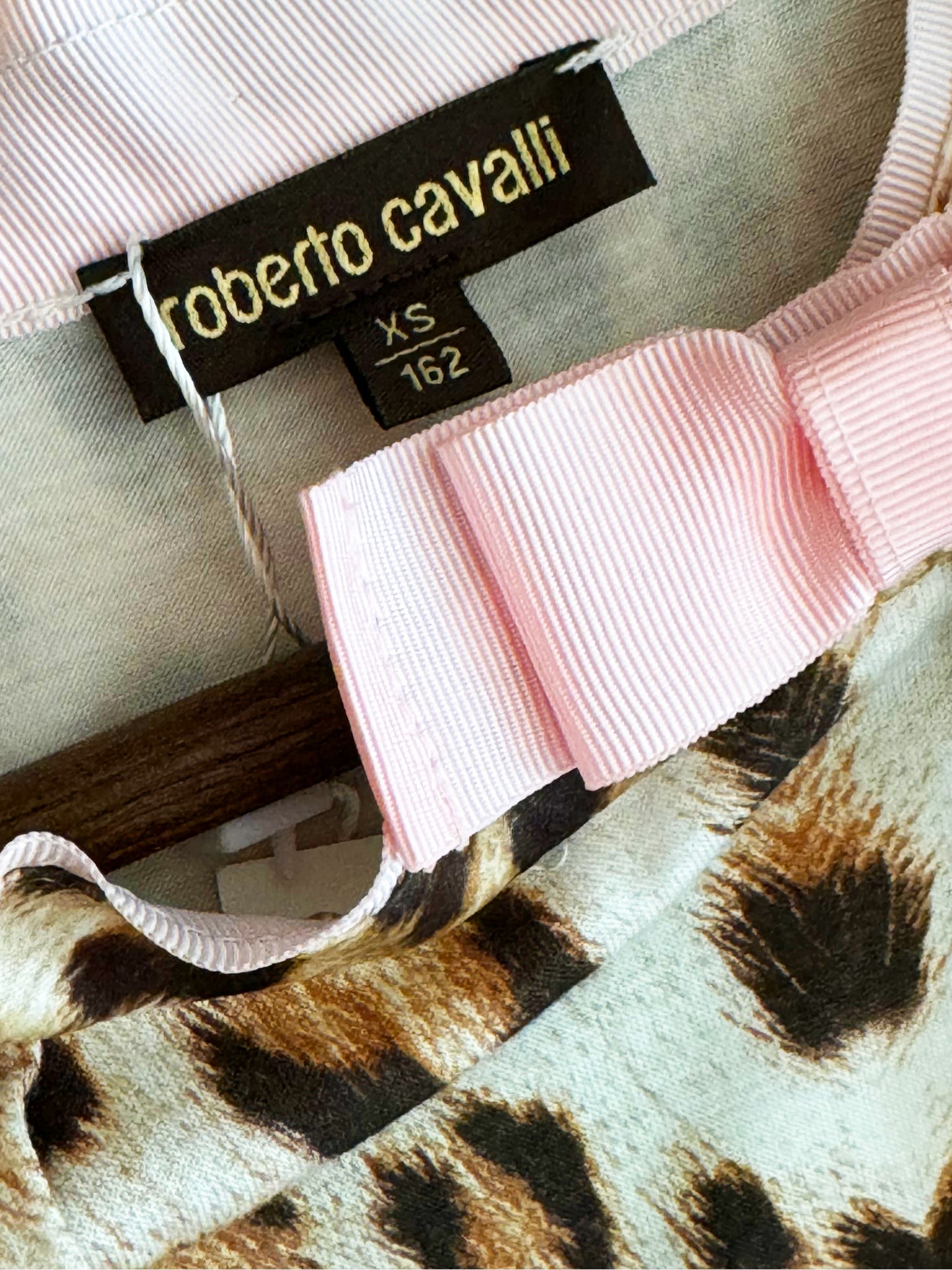 Roberto Cavalli 2000s Leopard Print Dress