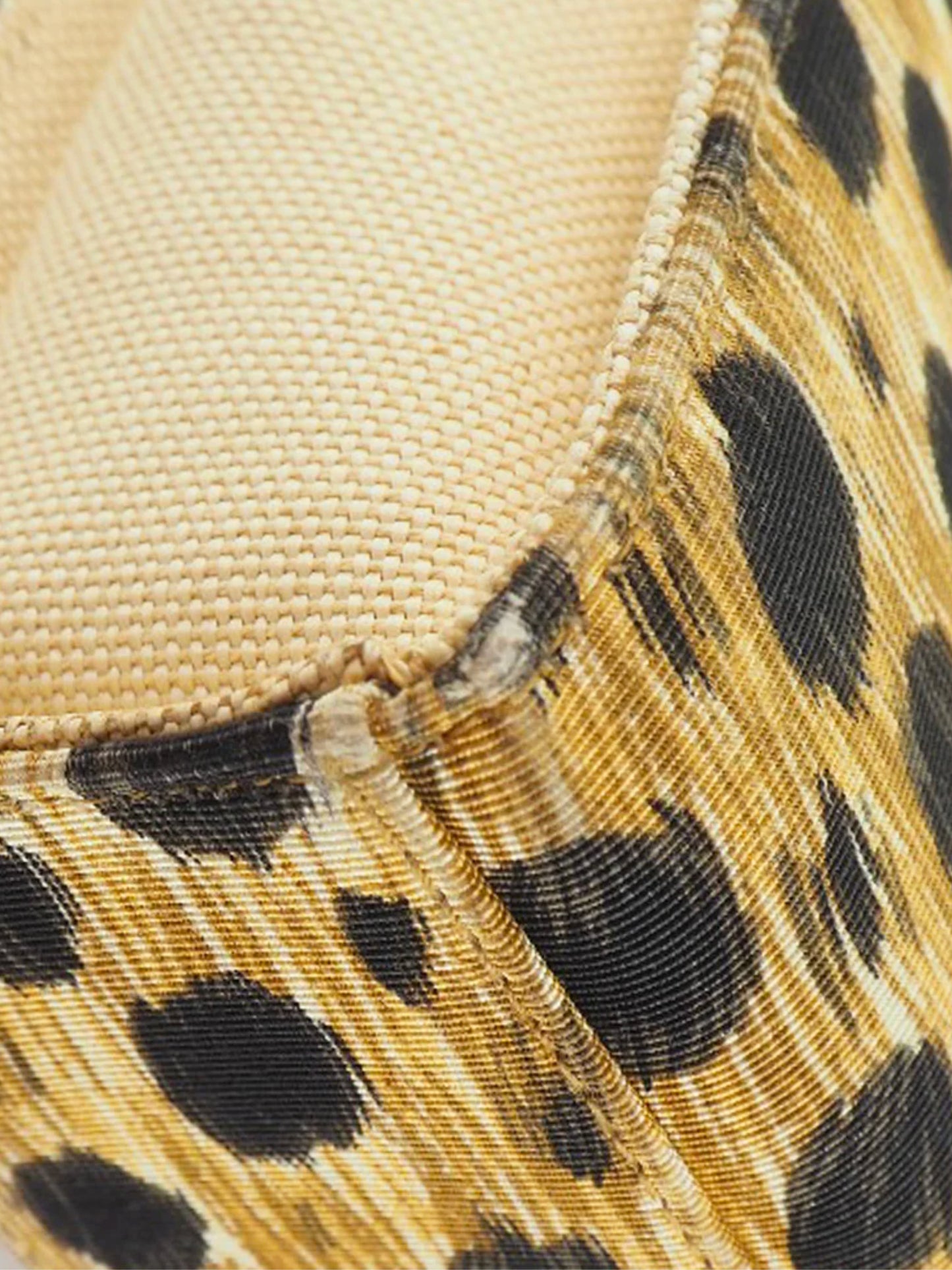Christian Dior 1999 Cheetah Print Canvas Lady Dior Tote Bag