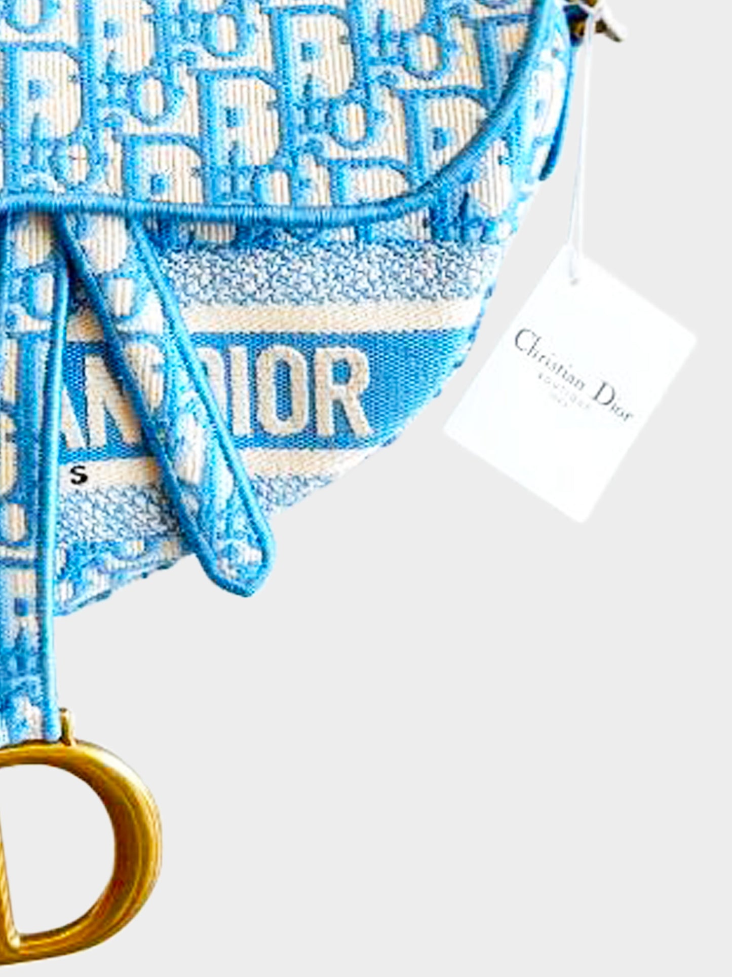 Christian Dior 2021 Cornflower Blue Oblique Embroidery Saddle Bag