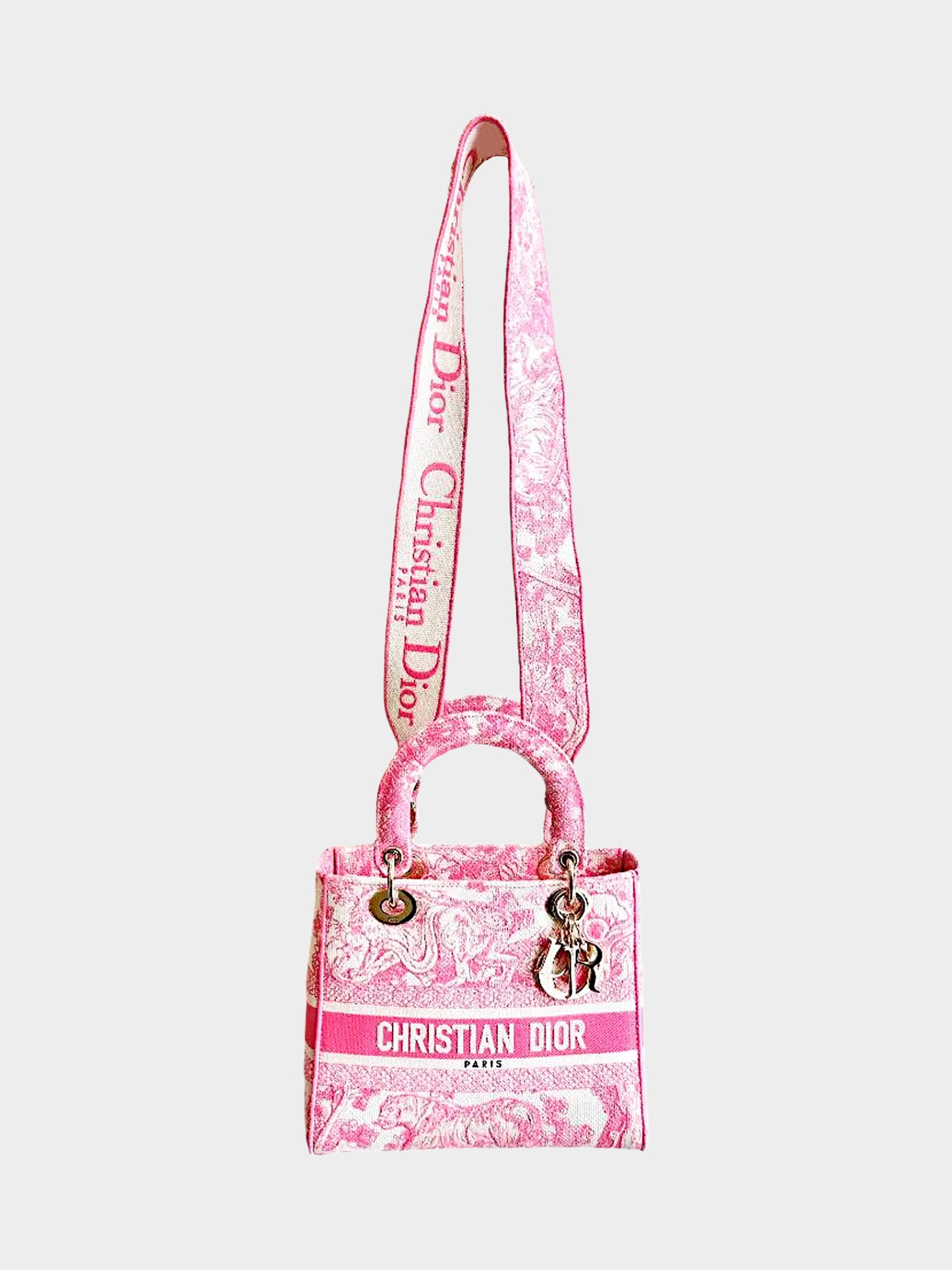 Christian Dior 2020 Pink Green Toile De Jouy Canvas Medium Lady D-Lite Bag