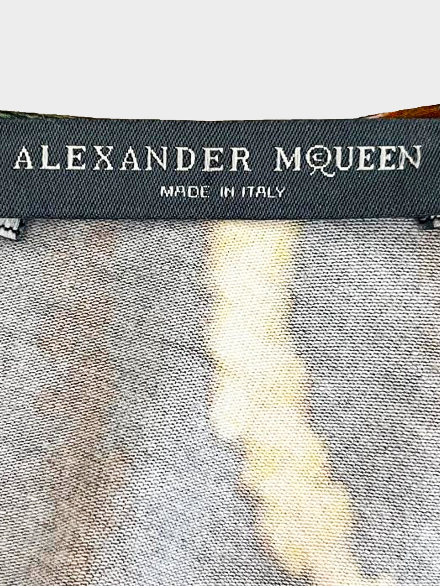 Alexander McQueen 2010 Plato’s Atlantis Dress