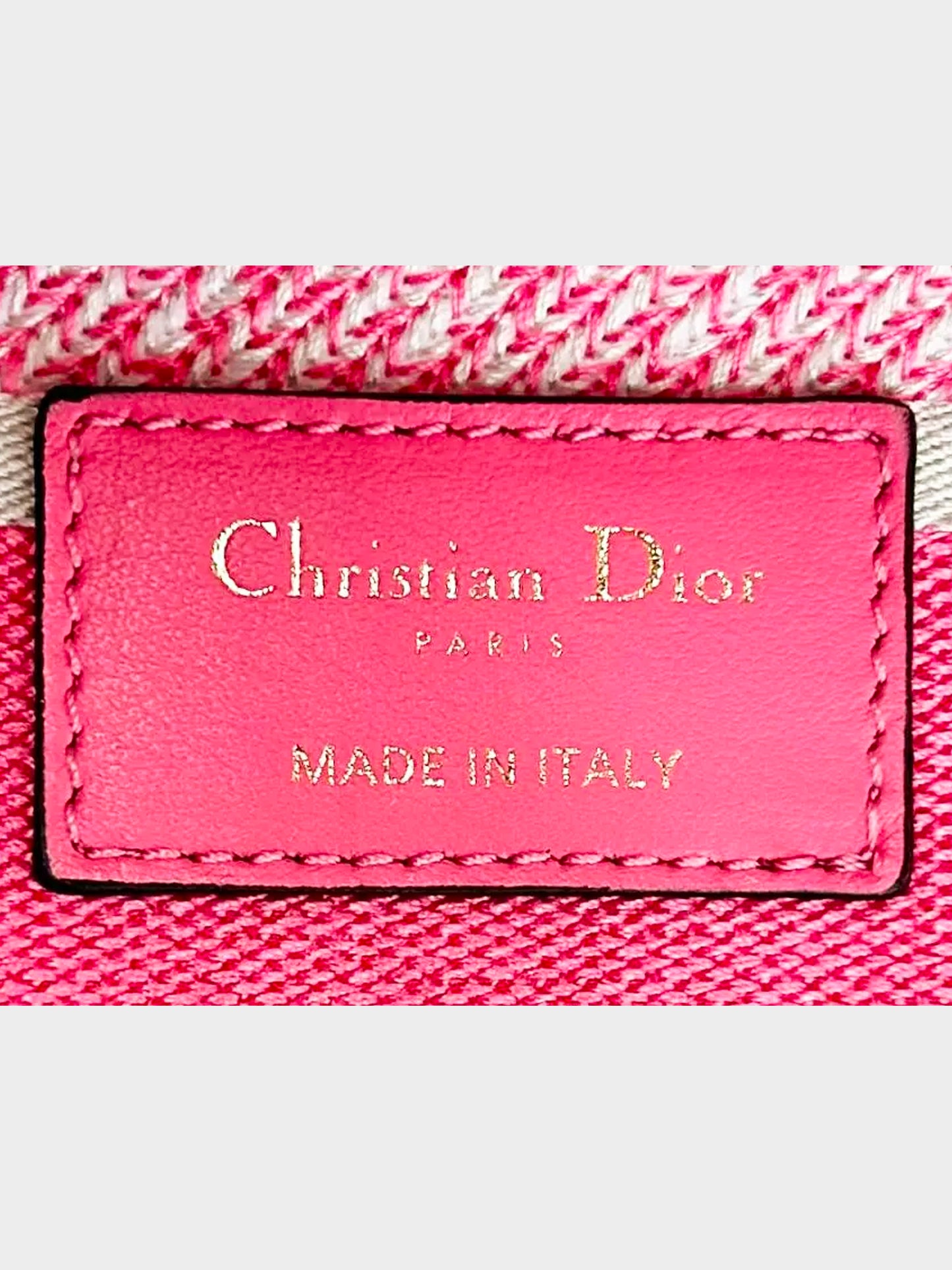 Christian Dior 2020 Pink Green Toile De Jouy Canvas Medium Lady D-Lite Bag