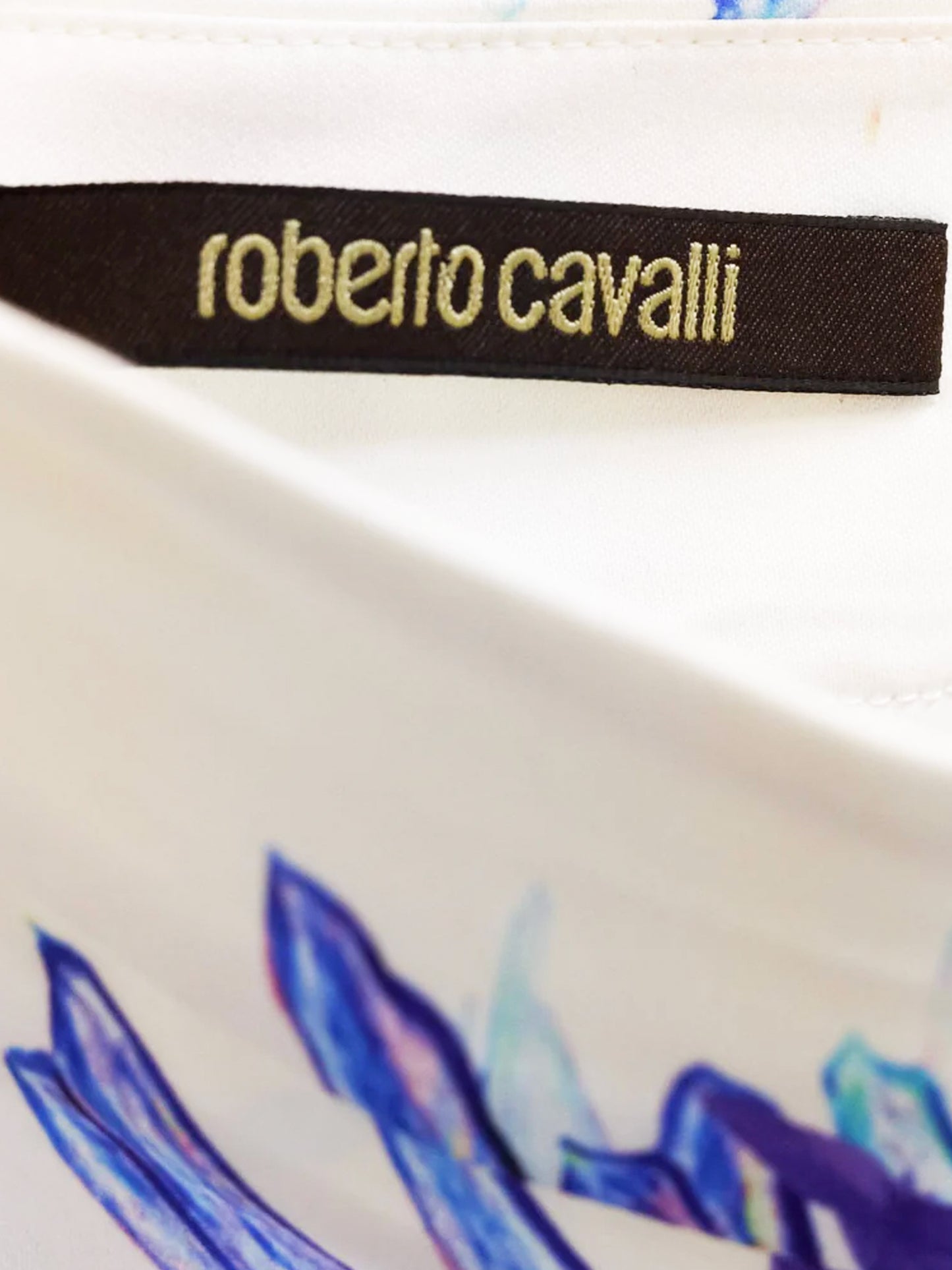 Roberto Cavalli 2010s Floral Print Lace Trim Skirt