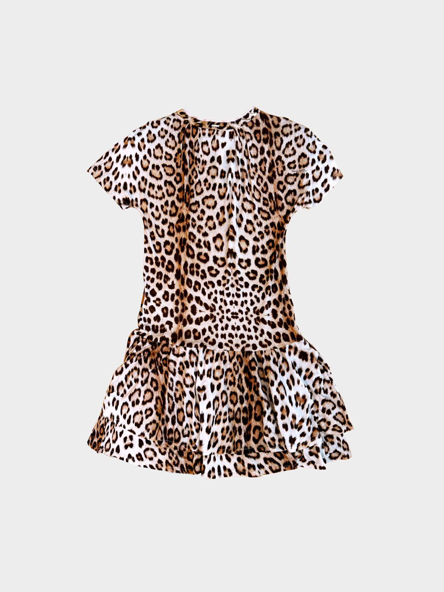 Roberto Cavalli 2000s Leopard Print Dress