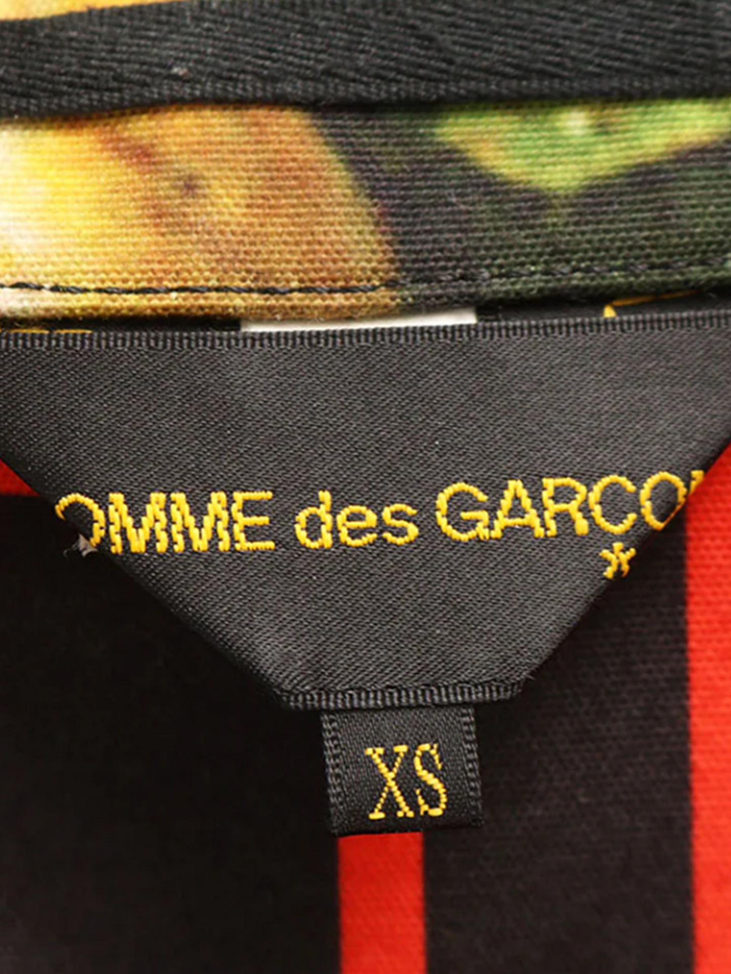 Comme des Garçons SS 2018 Fruit Print Coat