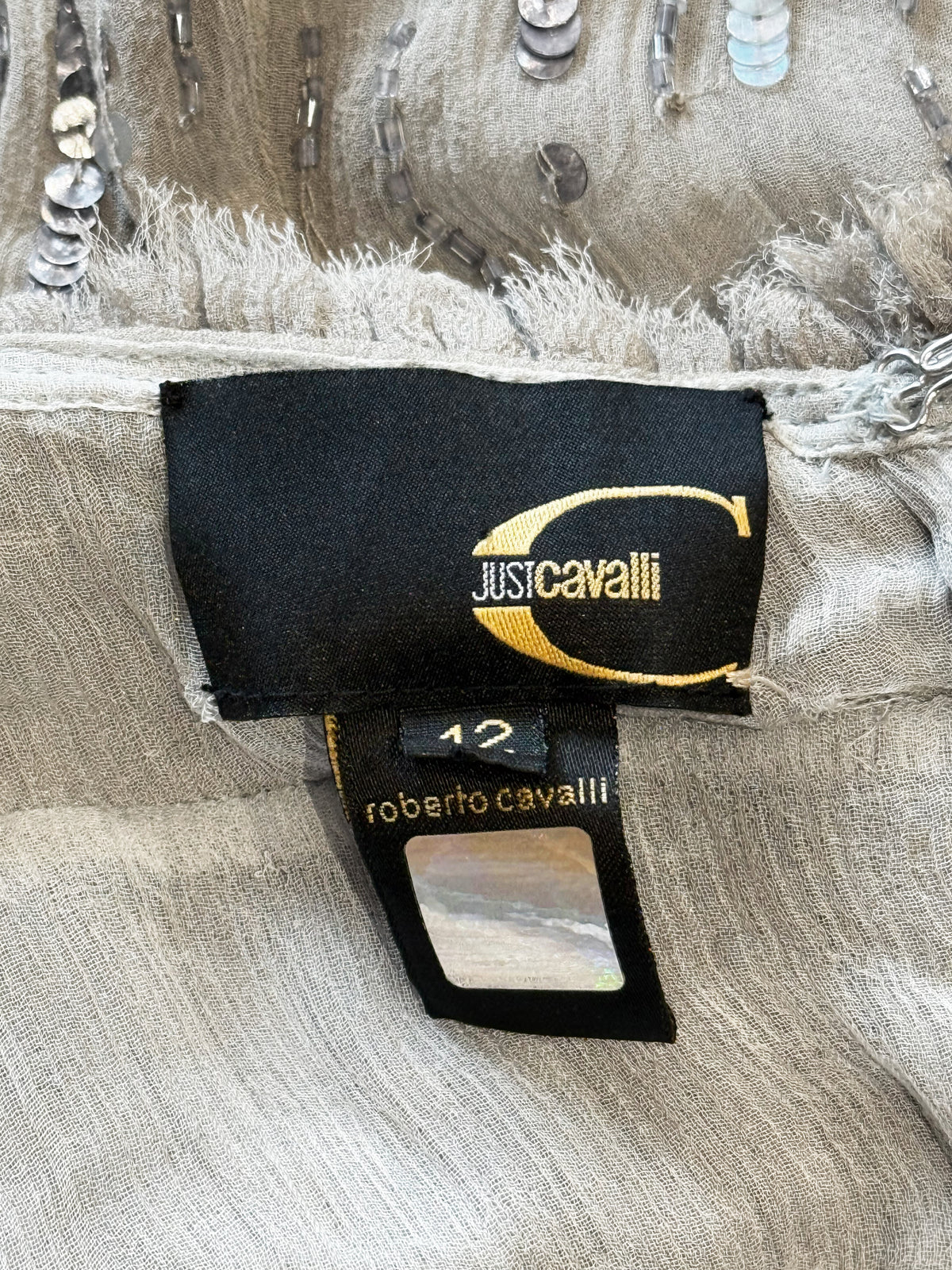 Roberto Cavalli 1990s Silver Grey Sequins and Beaded Silk Dress