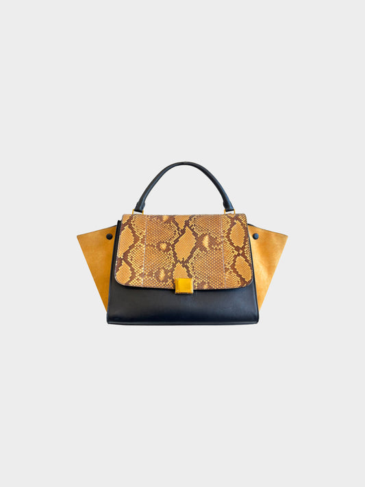 Cèline by Pheobe Philo 2012 Medium Python Trapeze Bag