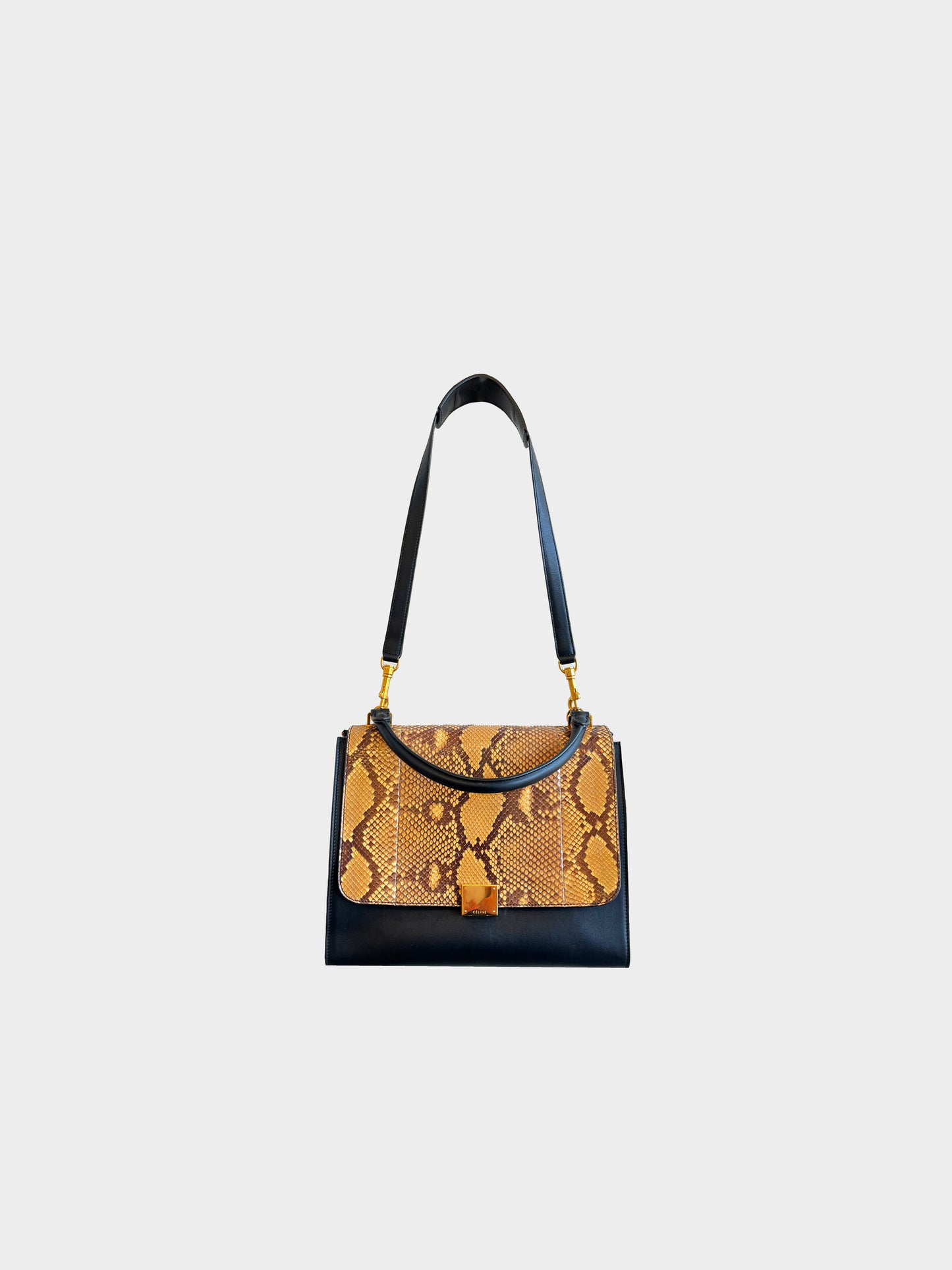 Cèline by Pheobe Philo 2012 Medium Python Trapeze Bag