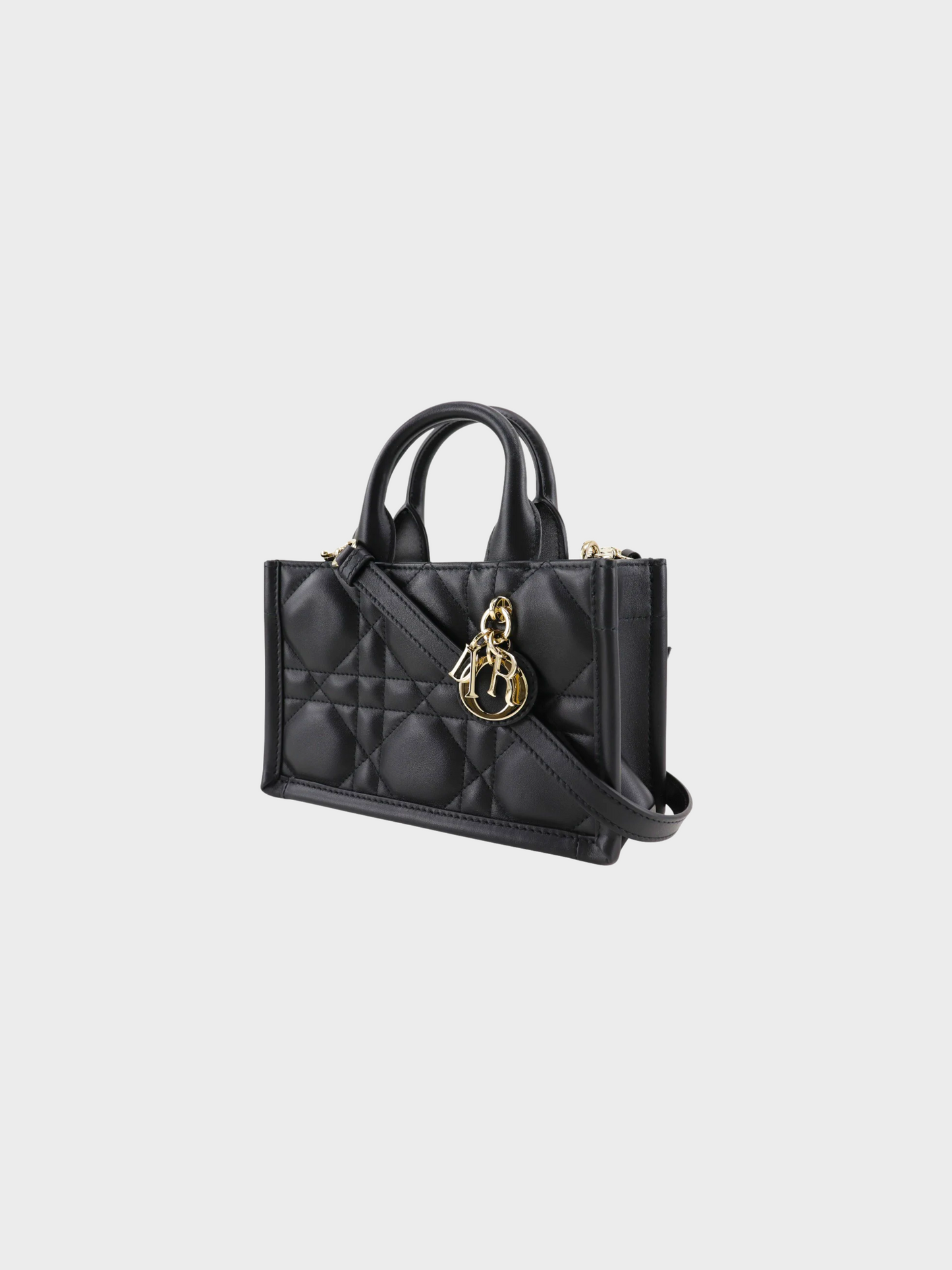 Christian Dior 2024 Black Mini Dior Book Tote