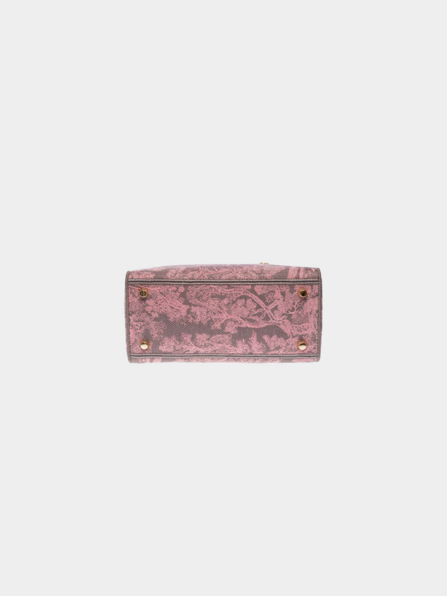 Christian Dior Cruise 2022 Lady D-lite Pink Toile de Jouy Reverse Motif Bag