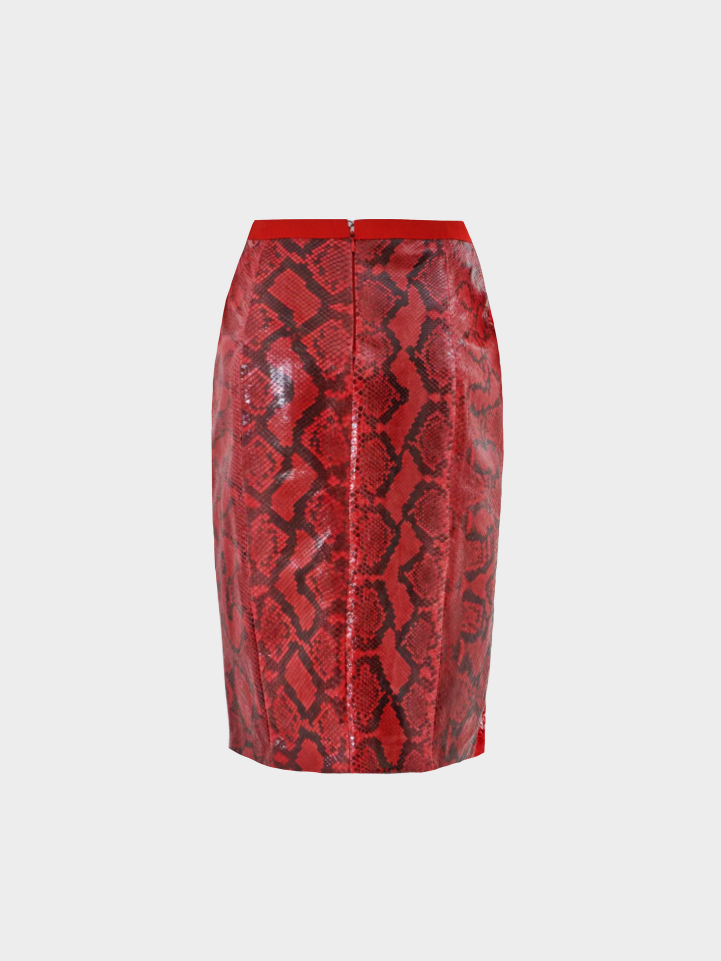 Dolce and Gabbana SS 2005 Red Python Leather with Lace Midi Skirt