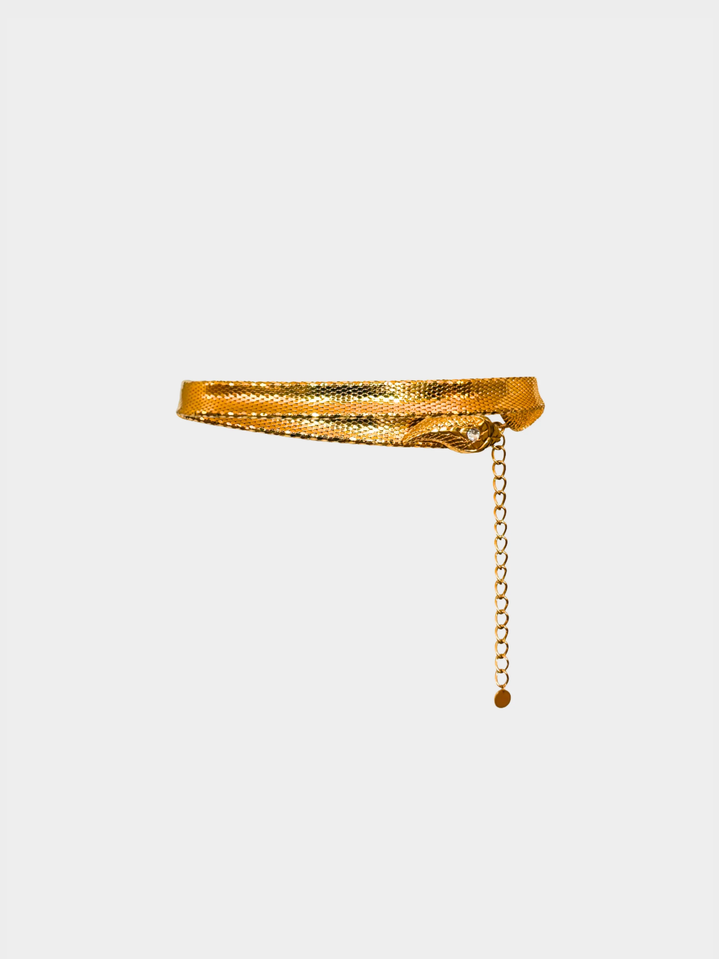 Roberto Cavalli 2000s Gold Snake Belt