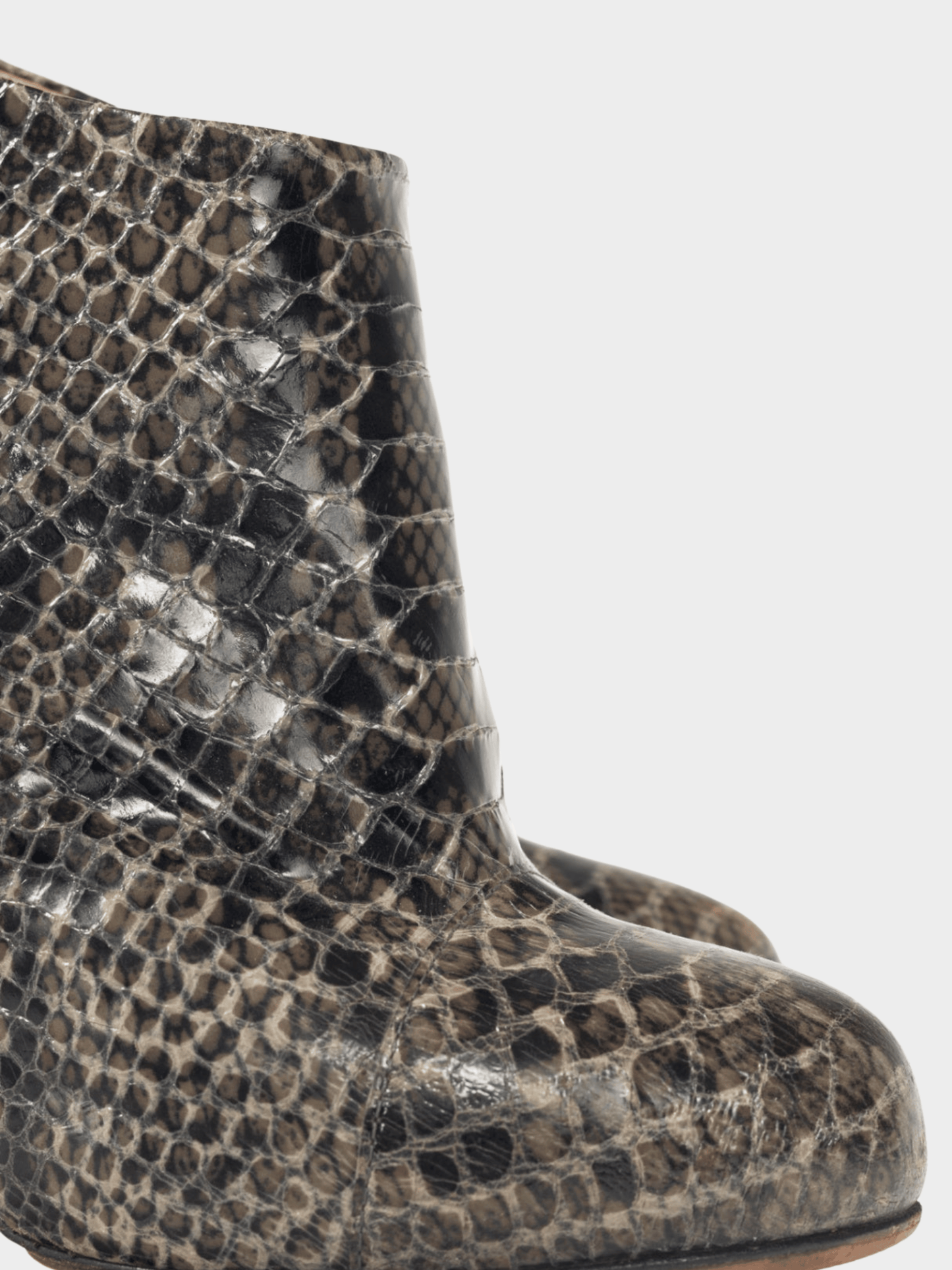 Giuseppe Zanotti 2010s Viv 100 Cenere Python Booties