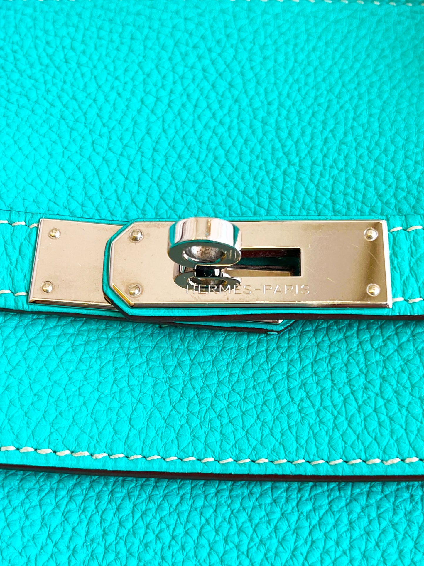 Hermès 2009 Lagoon Togo Birkin 40
