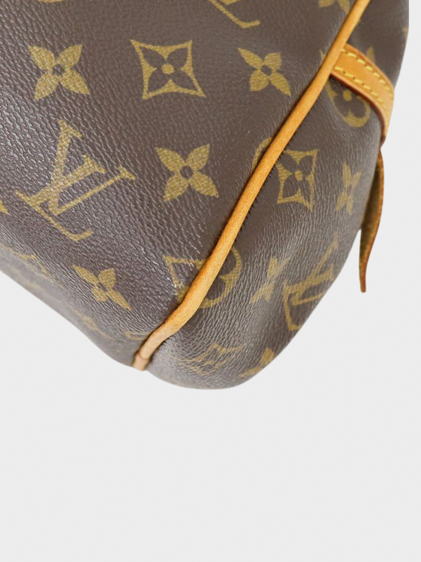 Louis Vuitton 2000s Monogram Montorgueil PM Bag