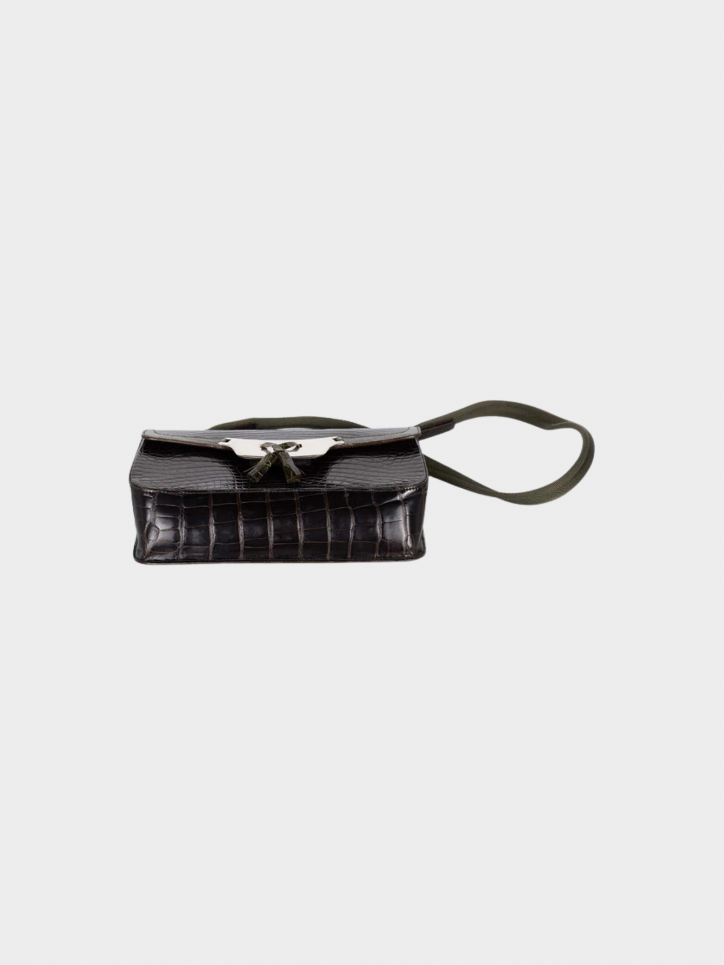 Prada 2000s Brown and Green Crocodile Shoulder Bag