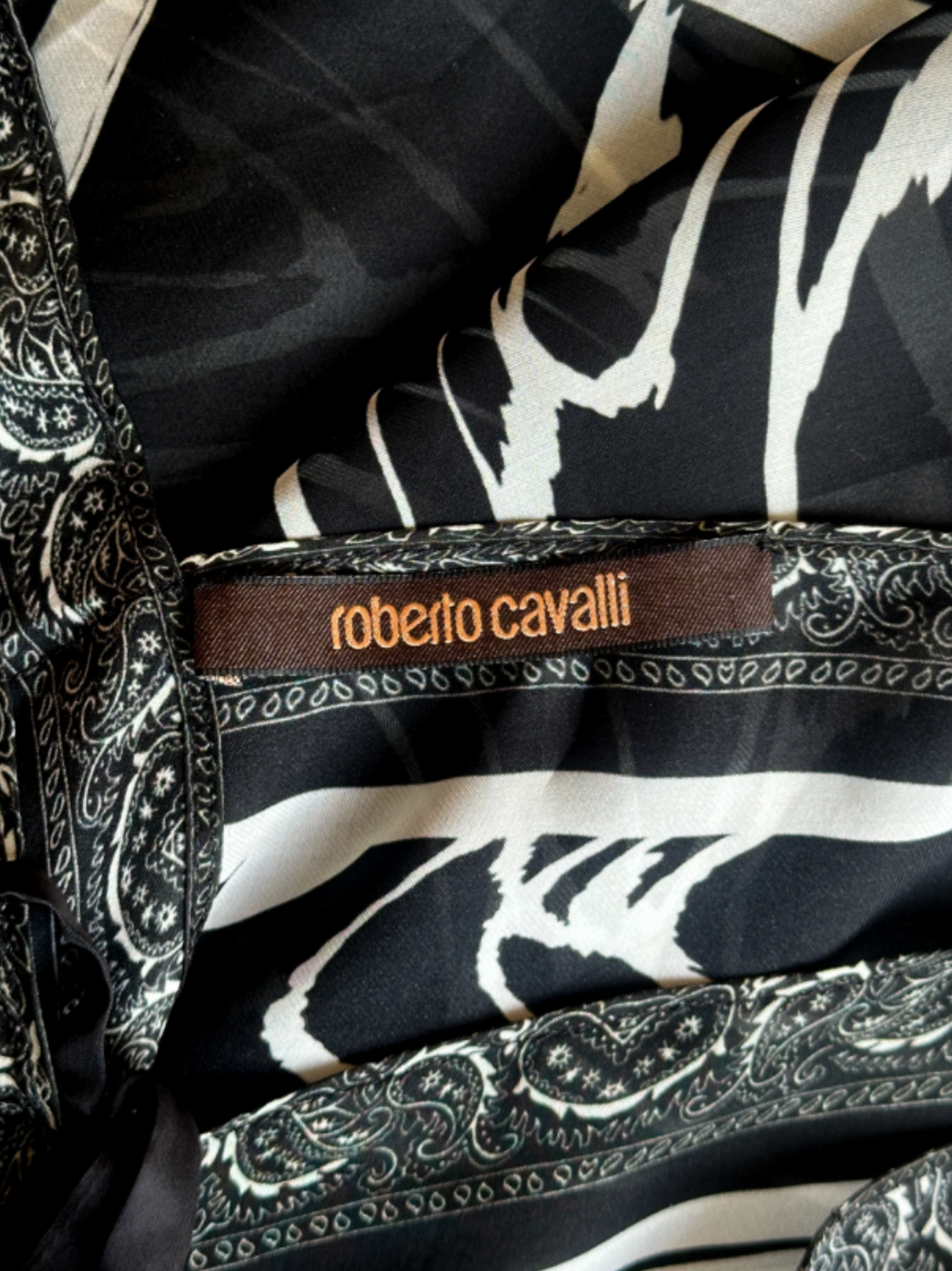 Roberto Cavalli Resort 2010 Zebra Pattern Dress