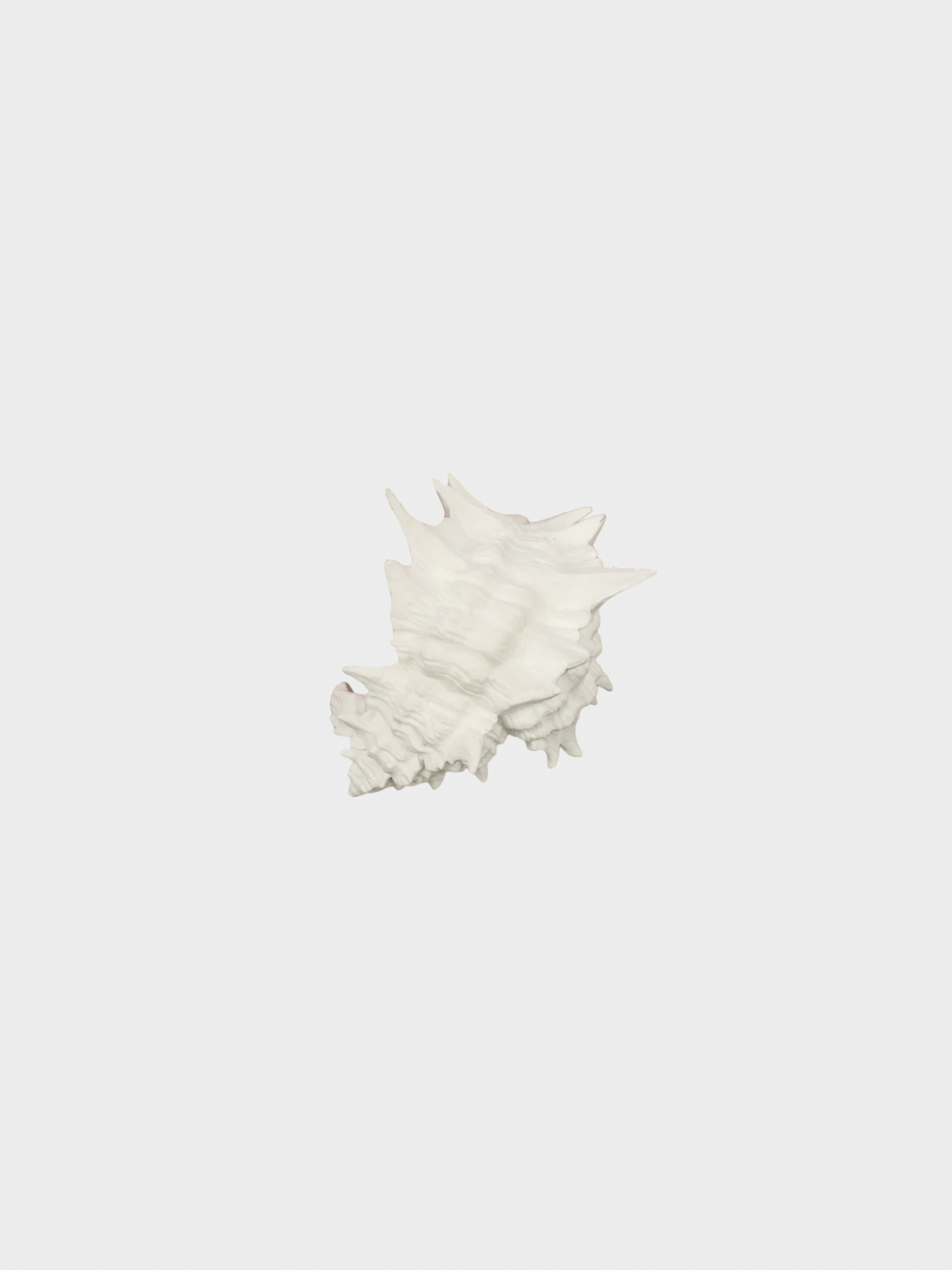 Yves Saint Laurent 2010s White Seashell Bracelet