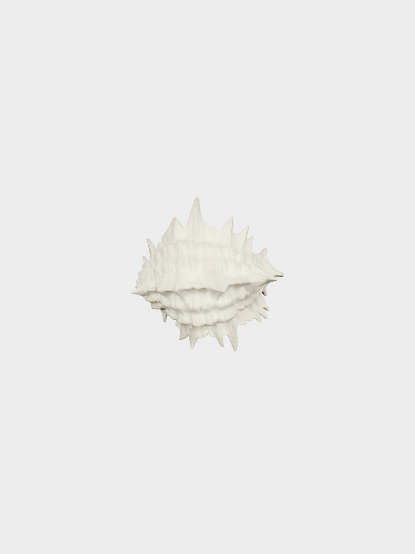 Yves Saint Laurent 2010s White Seashell Bracelet